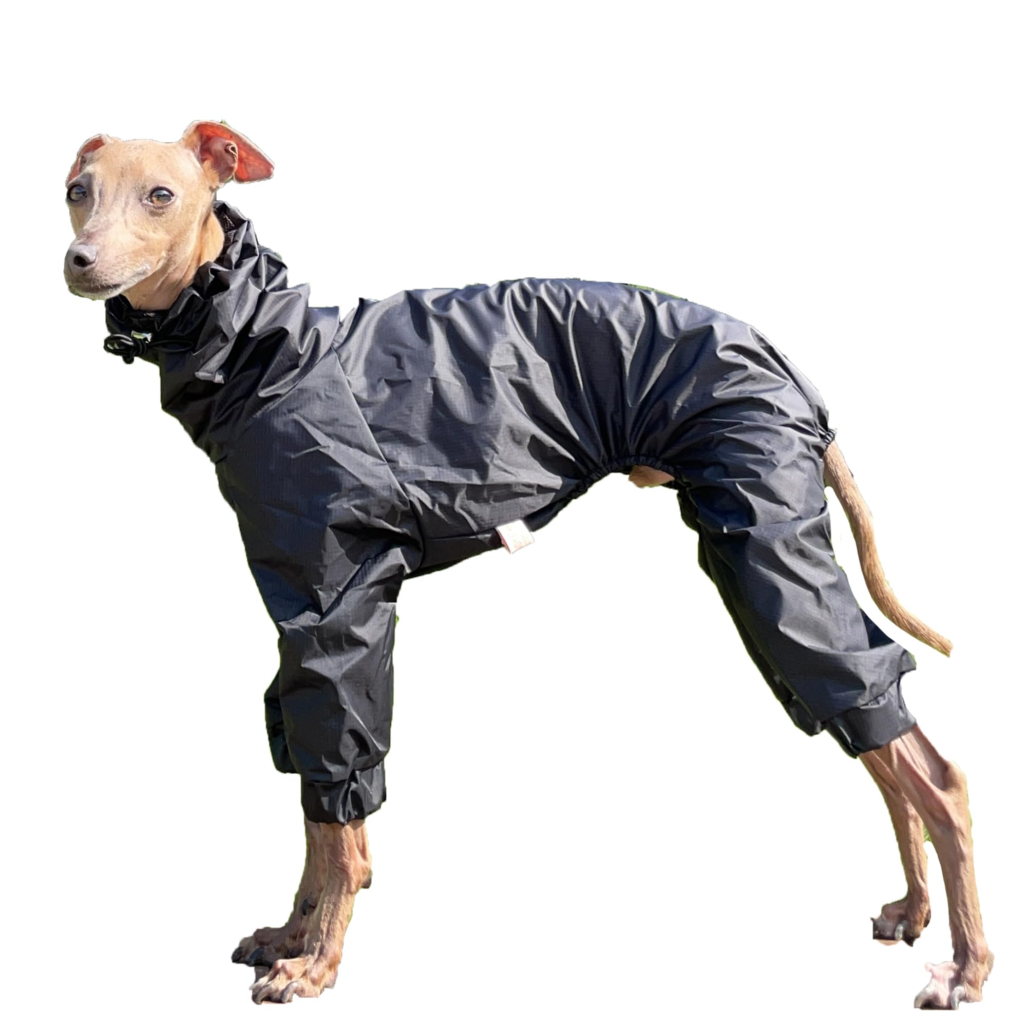 D Doggy Star Italian Greyhound Raincoat Waterproof Jacket Windbreaker Clothes Whippet For Dog (M,Raincoat Yellow)