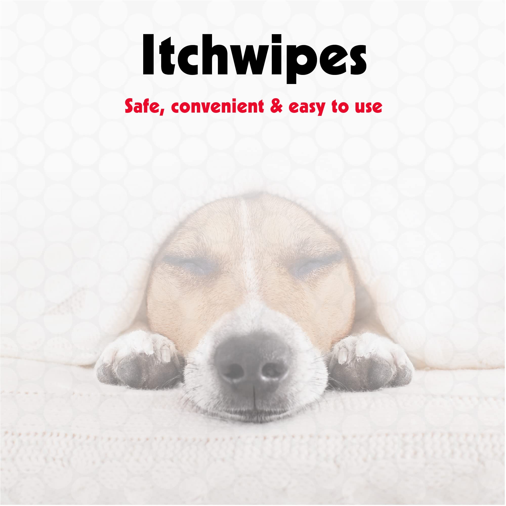 Petkin Anti Itch Wipes for Dogs and Cats, 60 Wipes, 2 Pack - Soothes Hot Spots, Skin Irritations and Scratching - Bitter Taste S