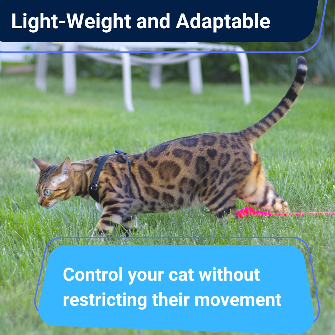 OutdoorBengal Houdini™ Escape Proof Cat Harness & Leash Set - Vegan Leather, Size S for Walking Cats and Kittens