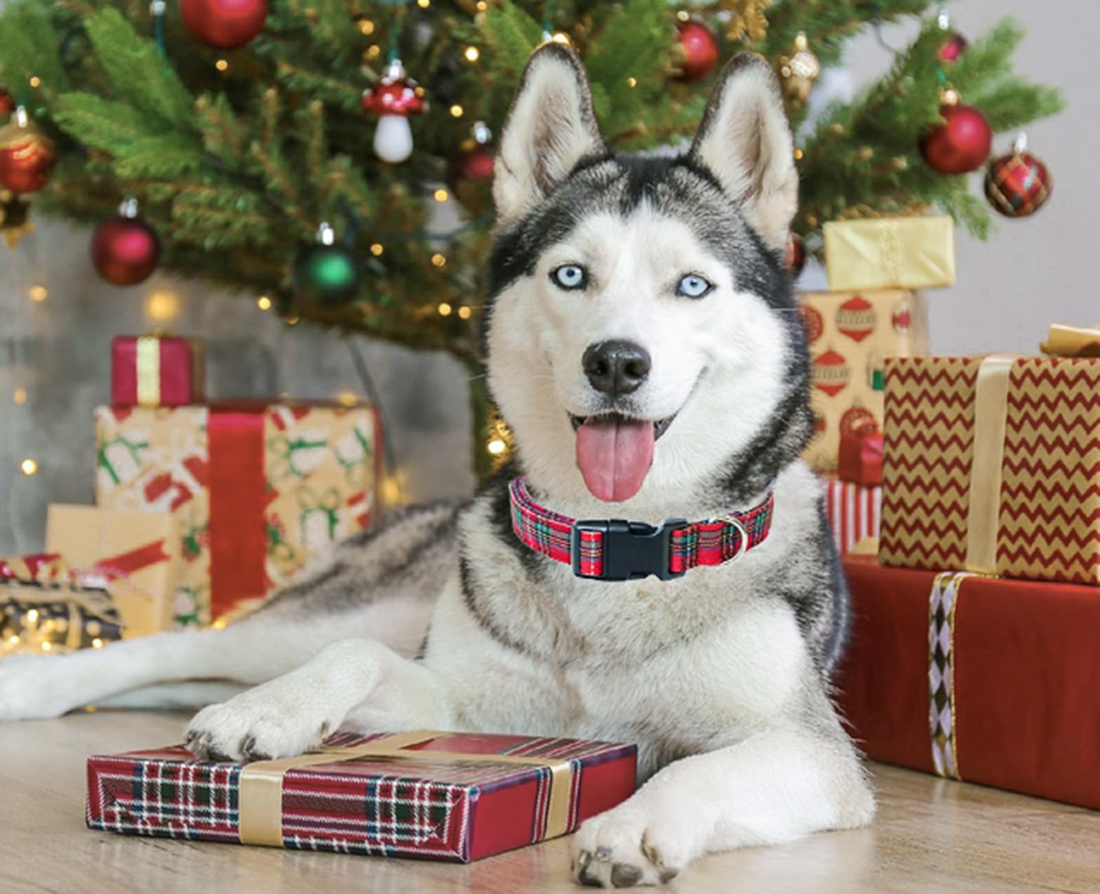 Tunkoo Christmas Classic Plaid Collar Premium Cotton Puppy Collar - Adjustable Collar With Strong Plastic Bucle Gifts For Small