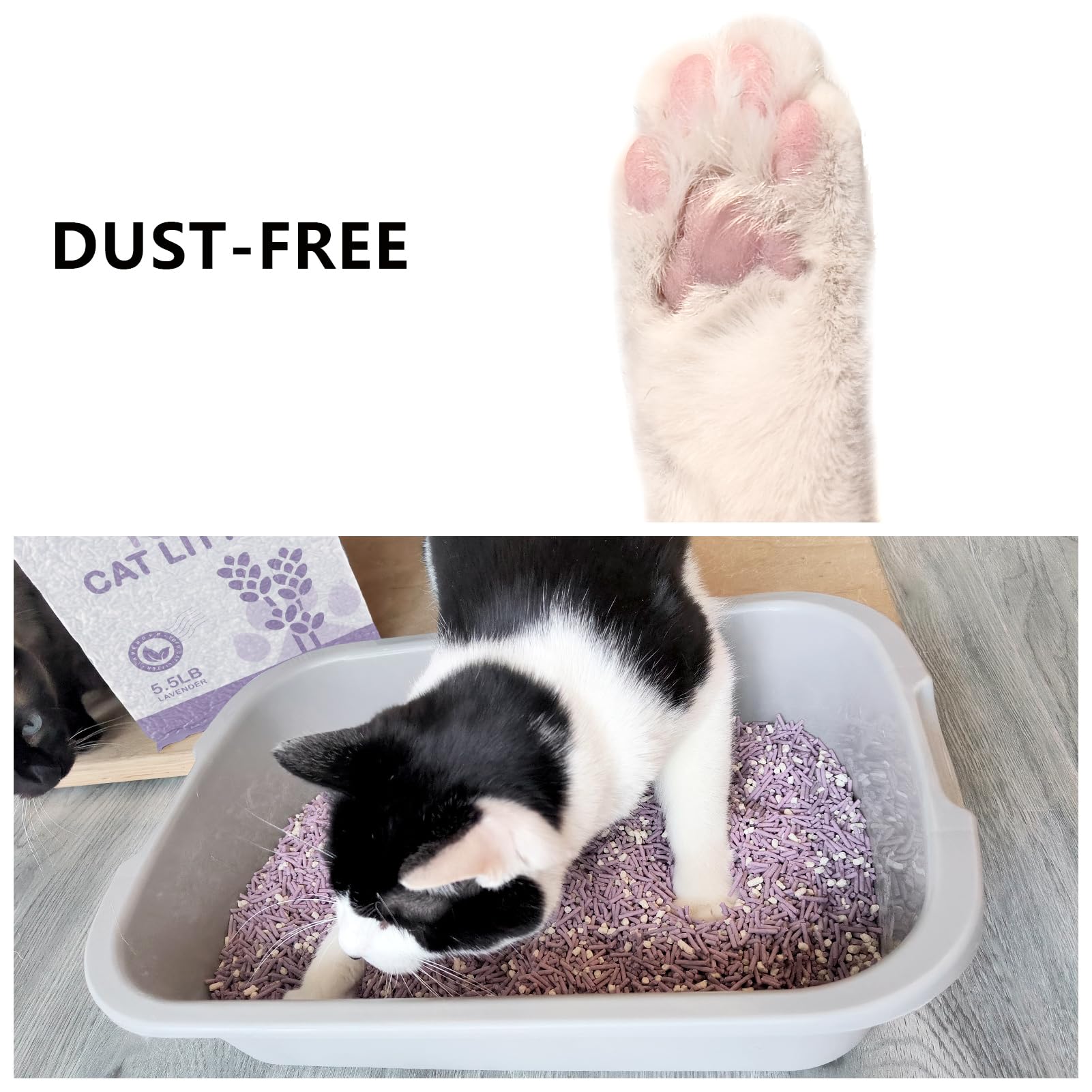Tofu Cat Litter, Dust-Free Kitty Litter, Ultra Absorbent Clumping Cat Pellet Litter, Fast Drying, Lavender Cat Tofu Litter Odor
