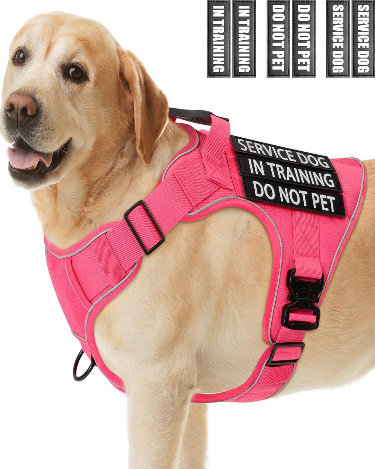 Pink Service Dog In Training Vest Harness For Medium Large Dogs, Reflective Adjustable Heavy Duty Padded Dog Harness, With Front