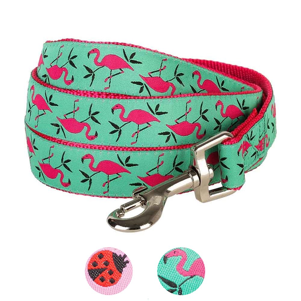 Blueberry Pet Essentials 2 Patterns Durable Pink Webbing Ladybug Designer Dog Leash 5 Ft X 5/8', Small, Basic Nylon Leashes For Dogs