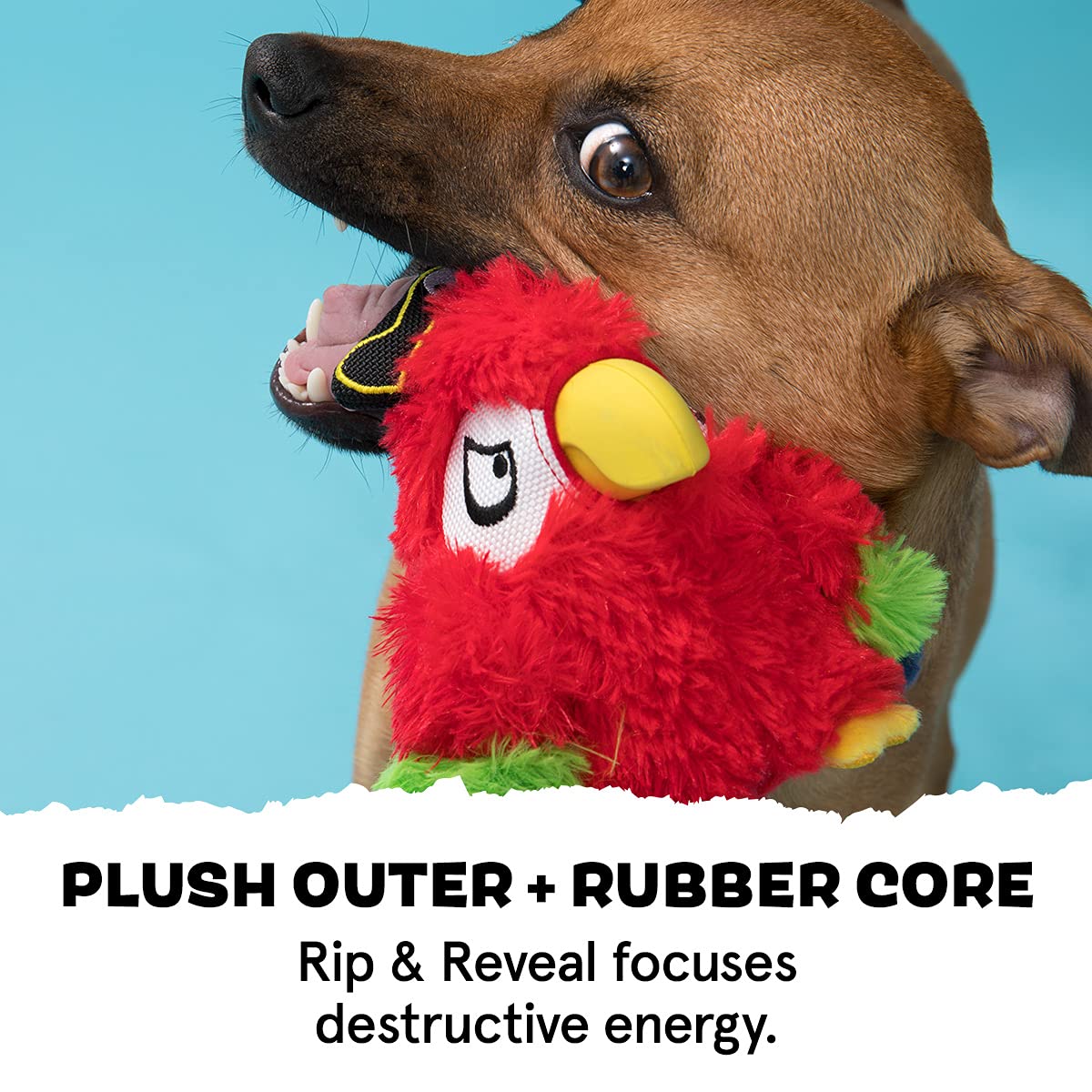 Barkbox Super Chewer Tough Dog Chew Toys For Aggressive Chewers, Plush 2 Toys In 1 (Parrot - Large)