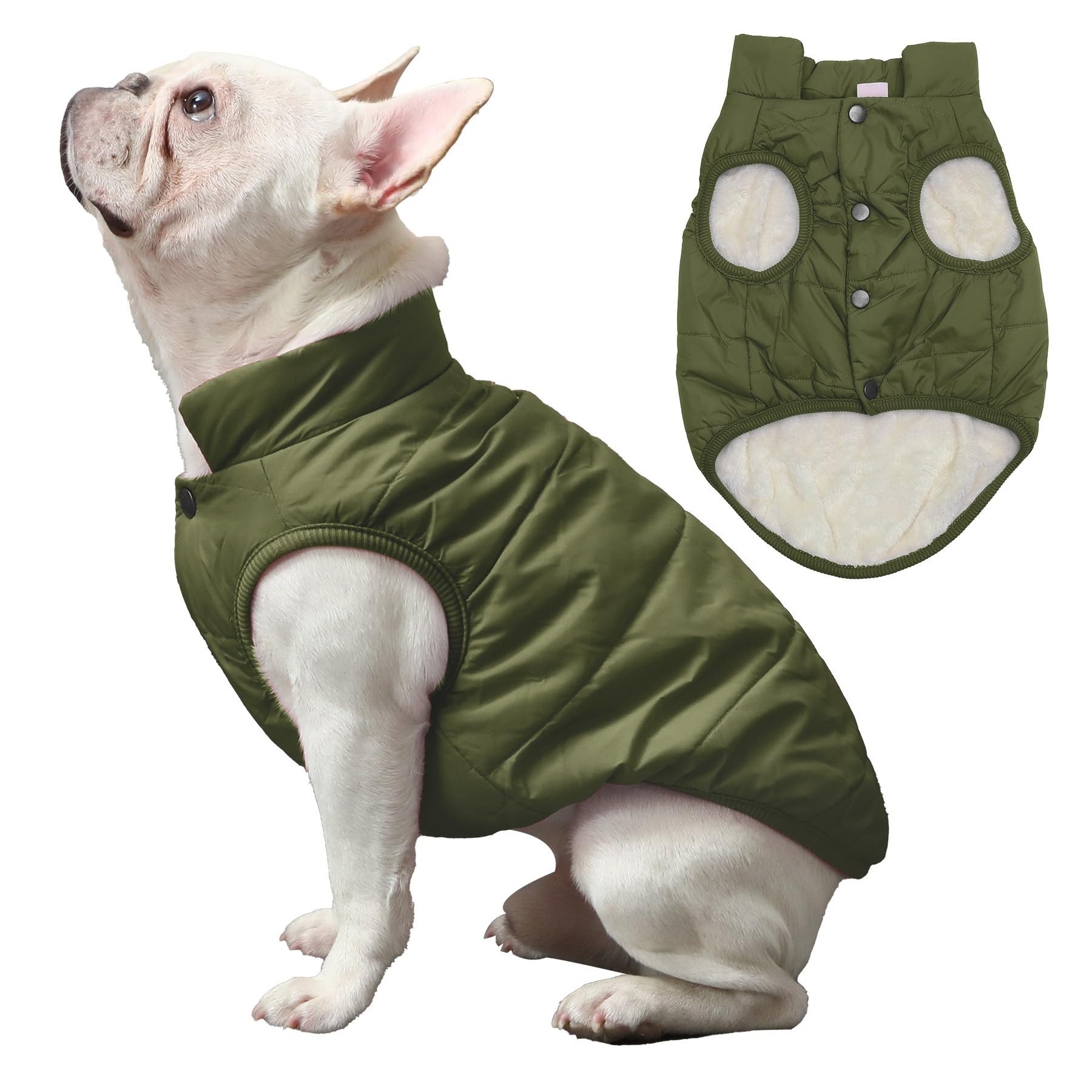 Joydaog 2 Layers Fleece Lined Warm Dog Jacket For Puppy Winter Cold Weather,Soft Windproof Small Dog Coat,Green Xs
