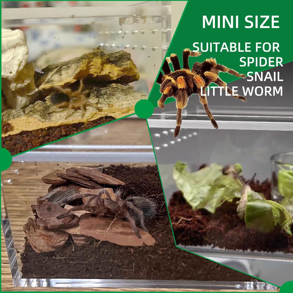 Jobede Jumping Spider Enclosure, Integrated Reptile Breeding Box Magnetic Acrylic Reptile Breeding Box For Scorpion Sling Isopod