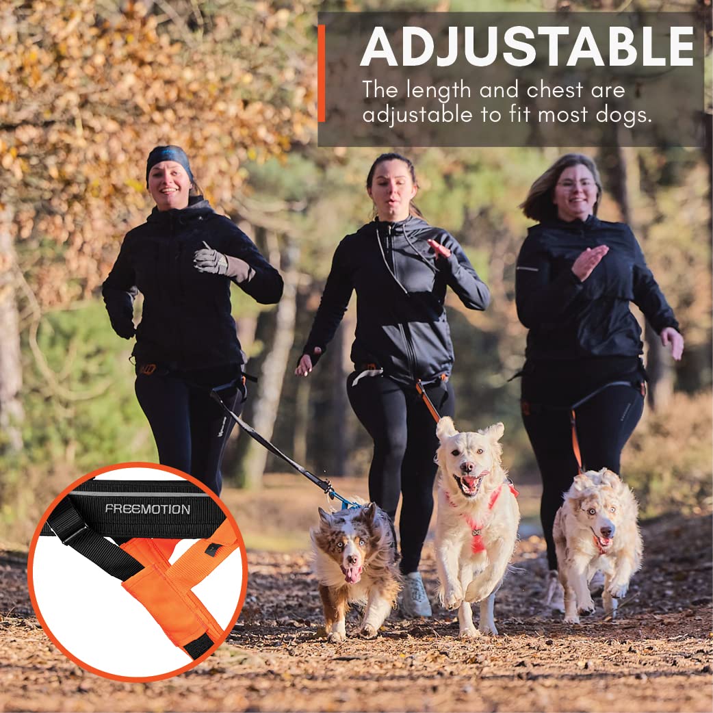 Non-Stop Dogwear Freemotion Harness 5.0 Dog Pulling Harness For Sports Like Running, Biking And Skiing With Dogs, Professional Adjustable Dog Harness, Orange/Black, Size 7