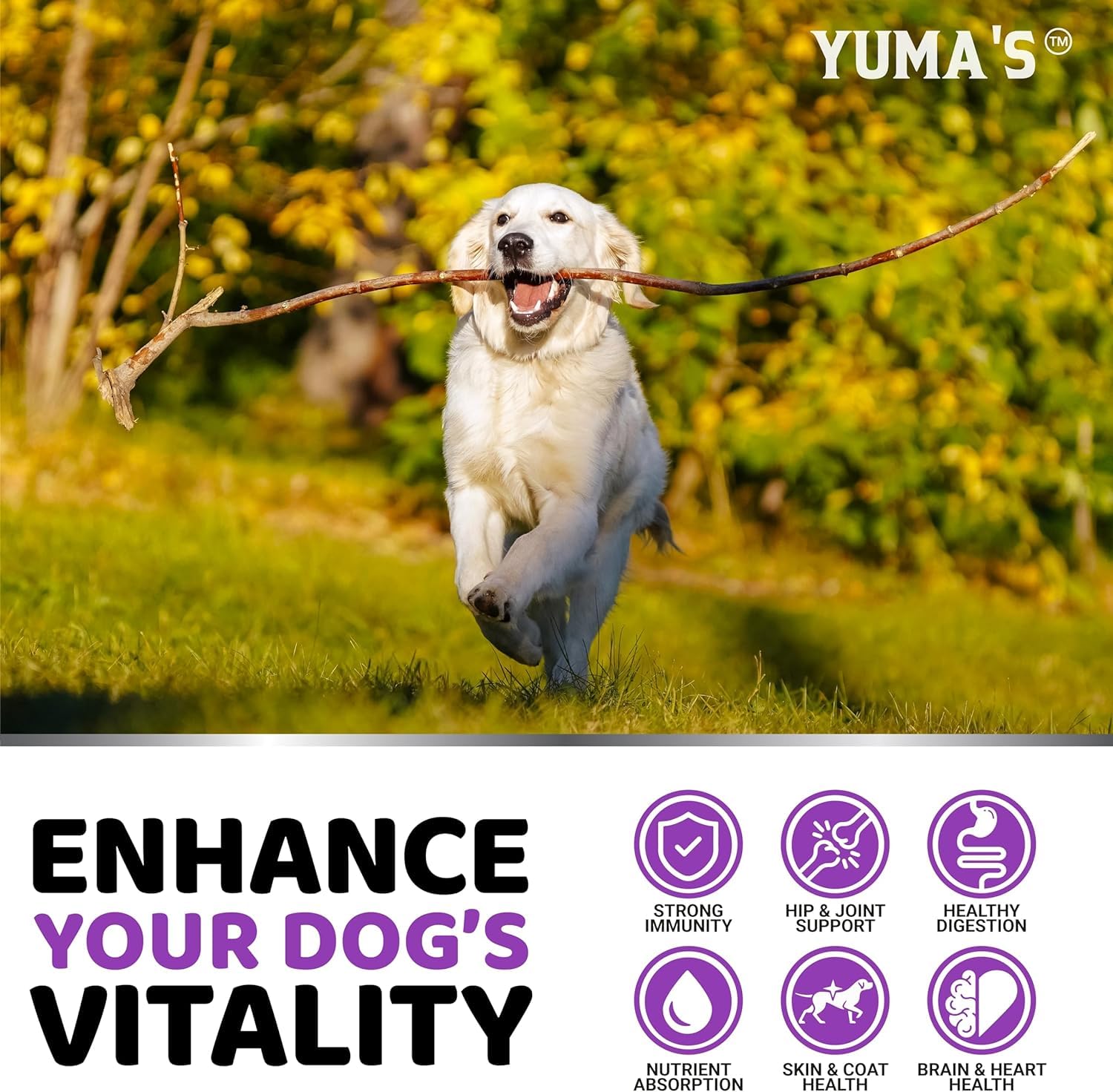 YUMA'S 2-Pack Dog Multivitamin Chewables with Glucosamine, 340 Chews - Senior & Puppy, Hip & Joint Support, Brown