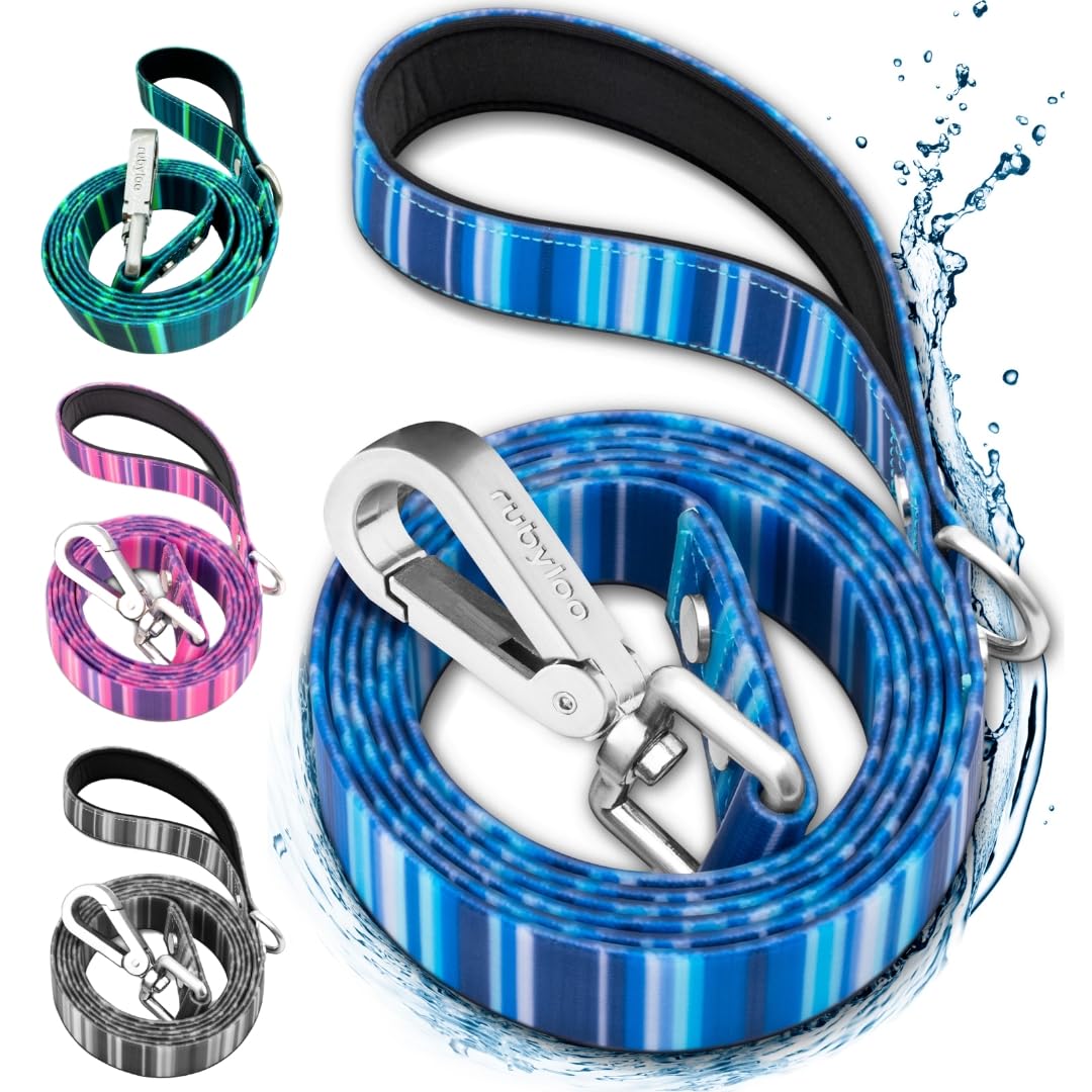 Rubyloo Waterproof Dog Leash | 100% Washable, No-Stink, No-Odor, Fade Proof | Soft Padded Handle, Easy Clean | Rust & Corrosion Resistant Zinc Alloy Clip & D-Ring | Blue (1')