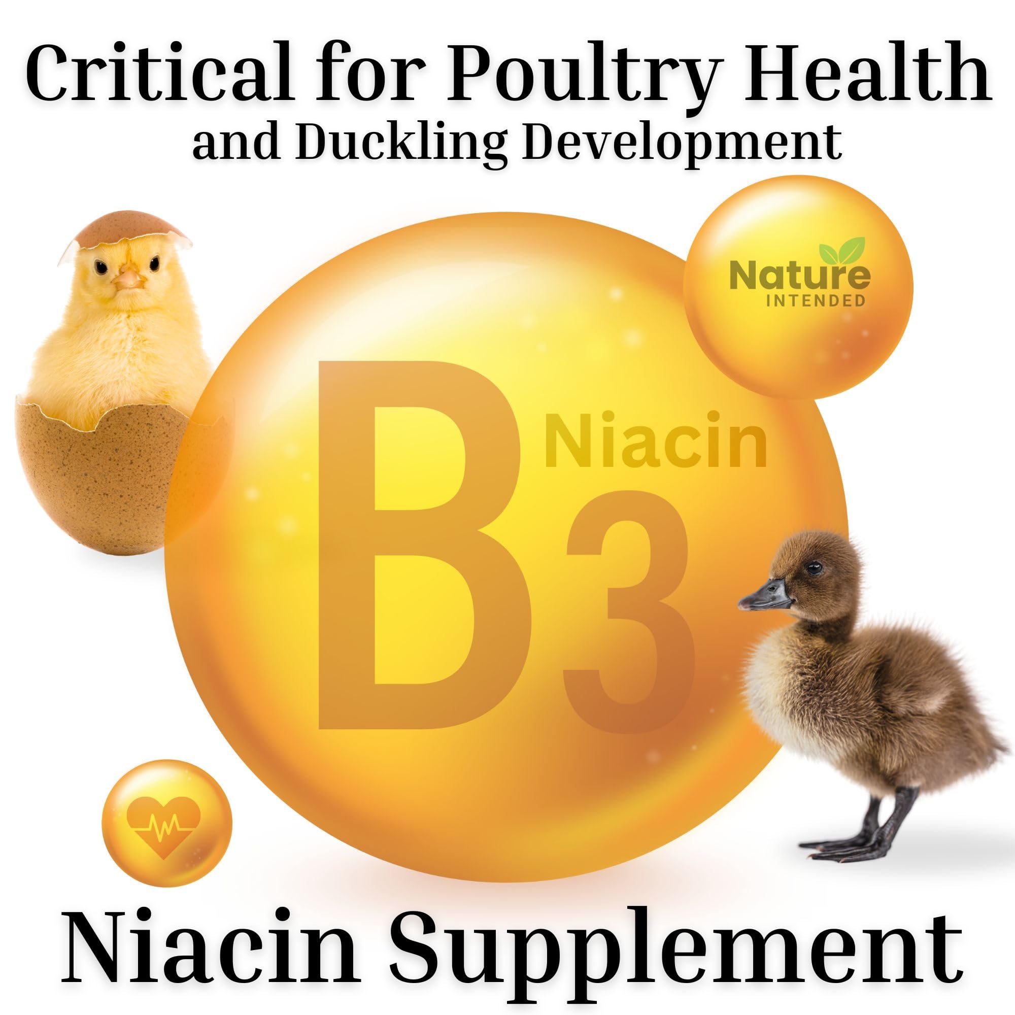 Brewers Yeast + Probiotics + Niacin + Vitamins Supplement for Ducks, Chickens and Poultry. (Molt Recovery, Severe Stress, Egg Q