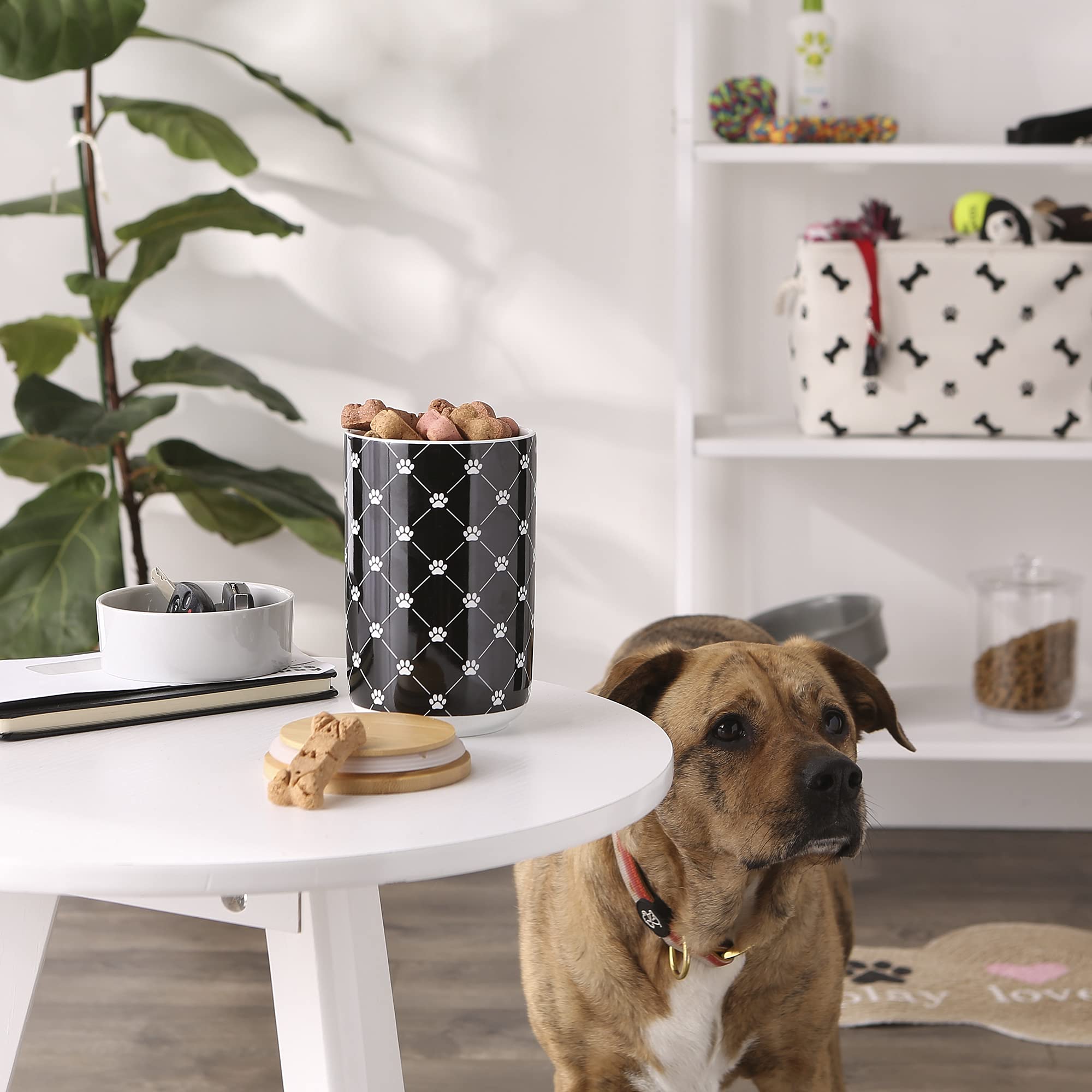 DII Black Trellis Paw Ceramic Treat Canister