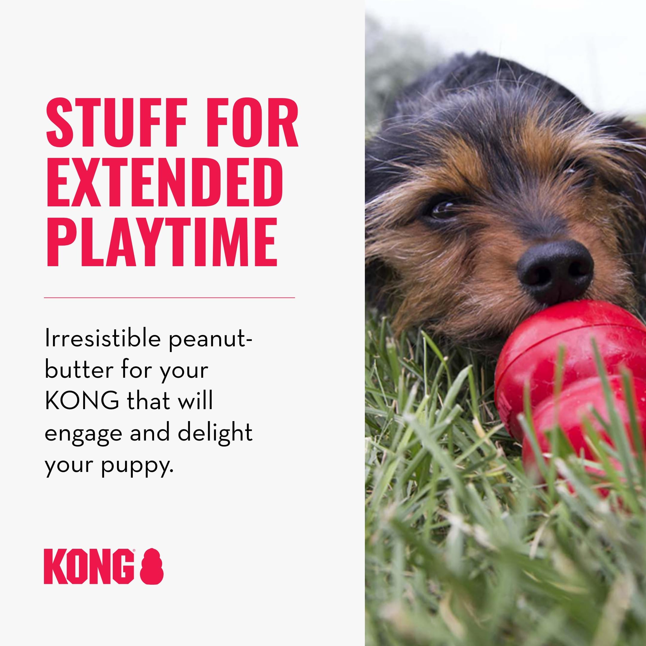 KONG Classic Stuffable Dog Toy & KONG Easy Treat Peanut Butter Spray - Fetch & Chew Toy for Dogs - With Dog Toy Filler Treat - F