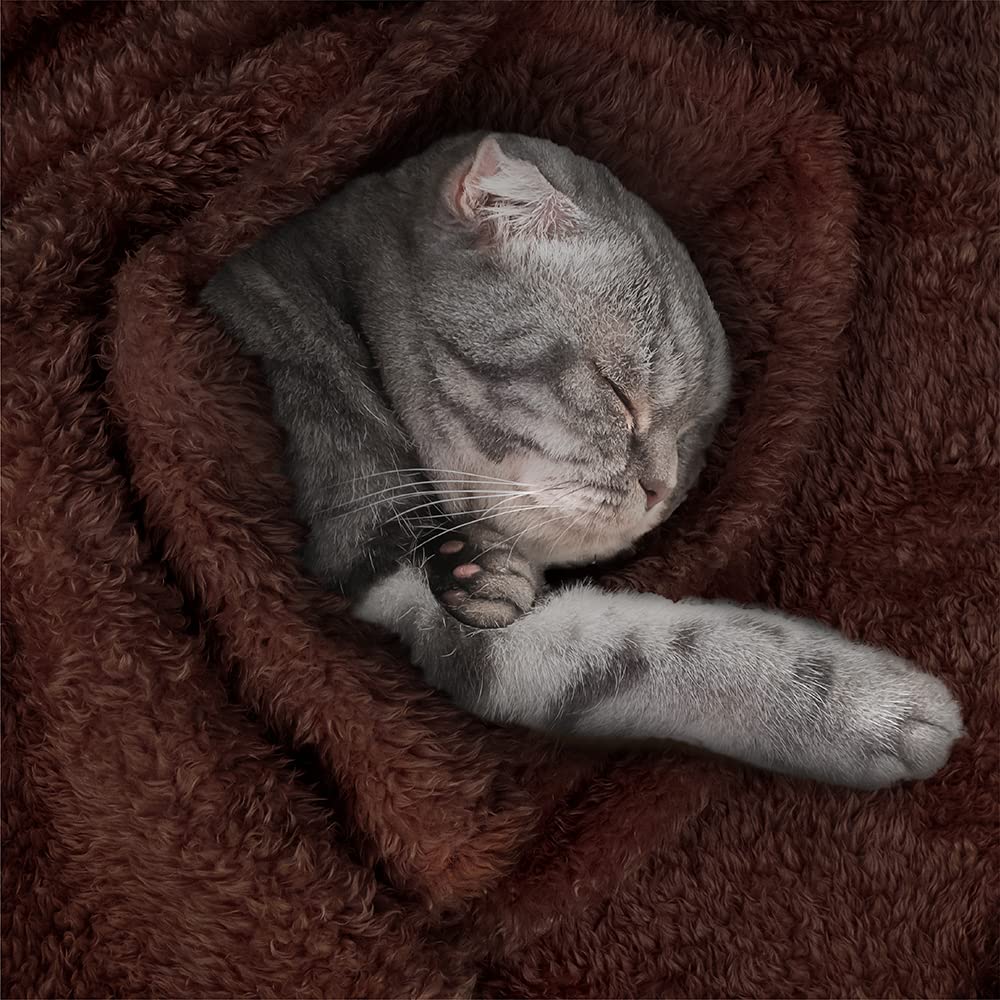 Petami Fluffy Dog Blanket For Small Medium Large Dogs, Sherpa Soft Warm Pet Fleece Throw For Indoor Cats, Fuzzy Plush Shaggy Blanket Furniture Protector Sofa Couch Bed, Brown 24X32