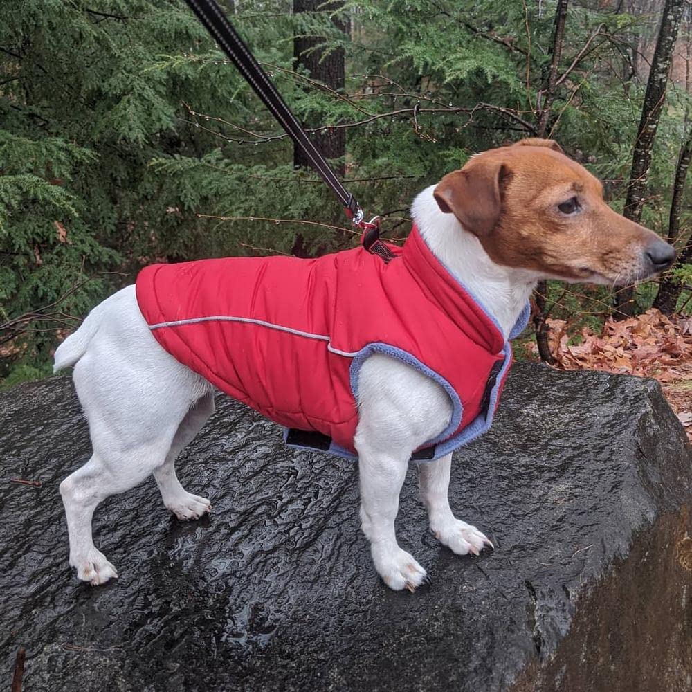Gooby - Sports Vest, Fleece Lined Small Dog Cold Weather Jacket Coat Sweater With Reflective Lining, Red, X-Small