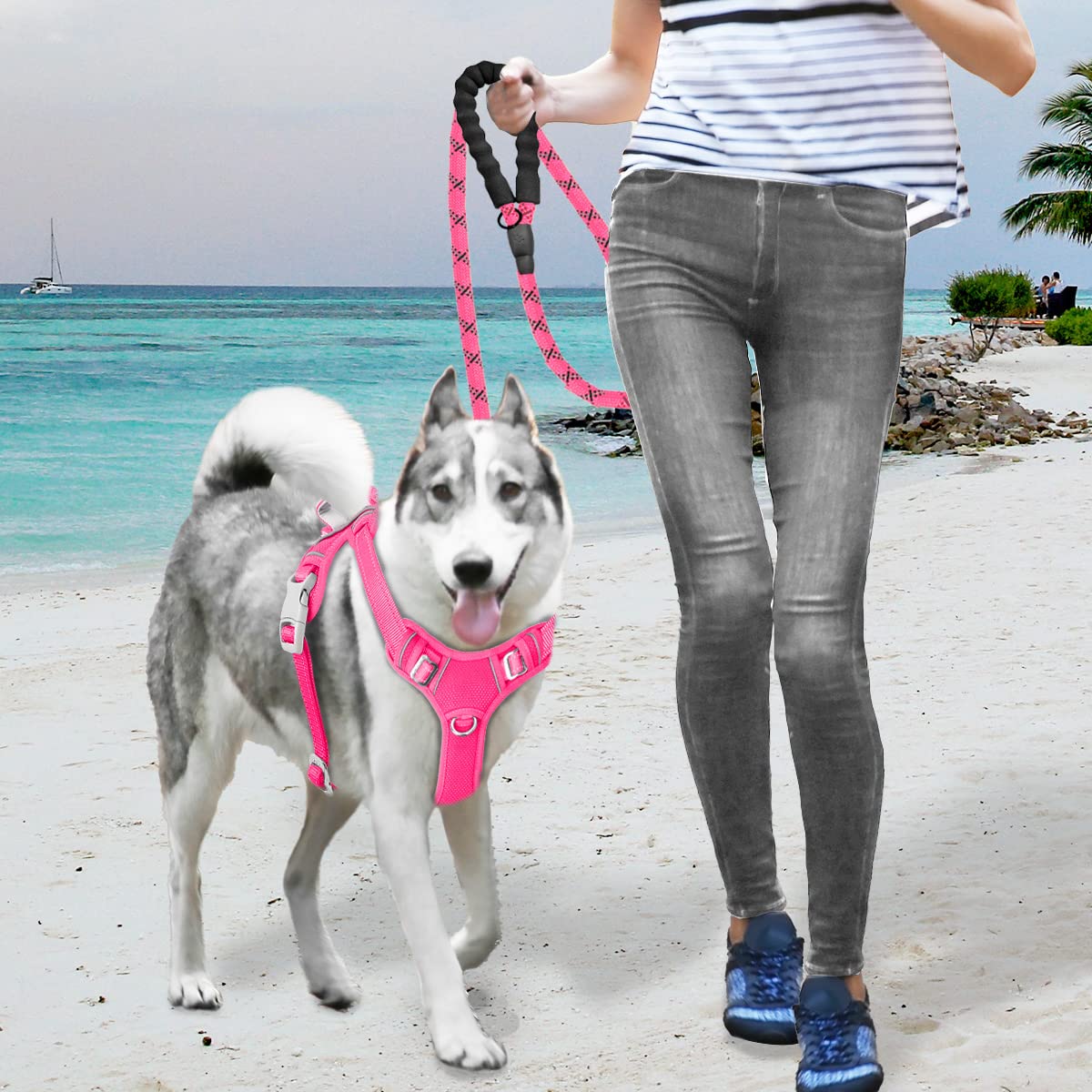 Barkbay No Pull Dog Harness Large Step In Reflective Dog Harness With Front Clip And Easy Control Handle For Walking Training Ru