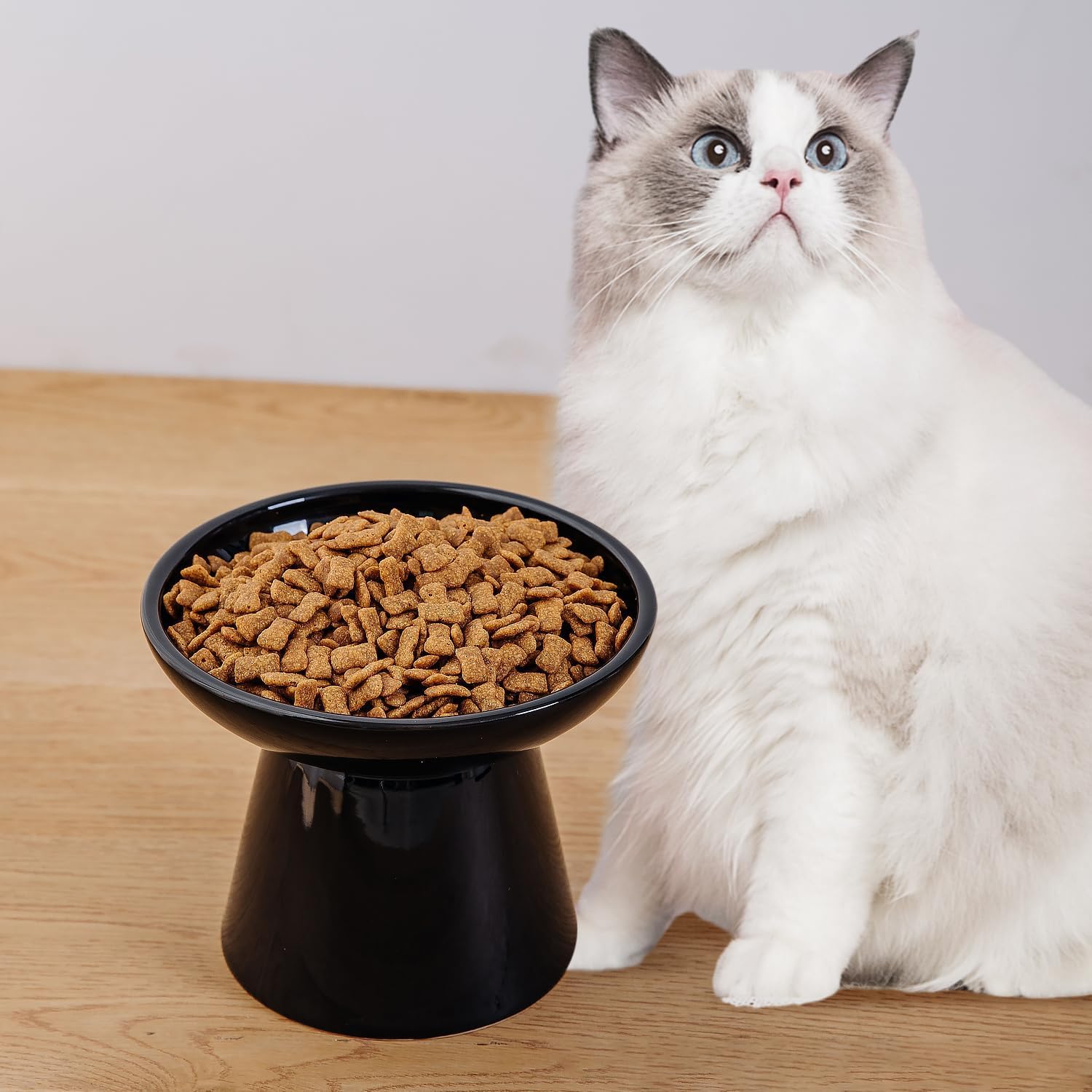 KITCHENLESTAR 6.2 Inch Extra Wide Elevated Ceramic Cat Bowls, Food and Water Bowl Set for Elder Big Cats Small Dogs, Raised Desi