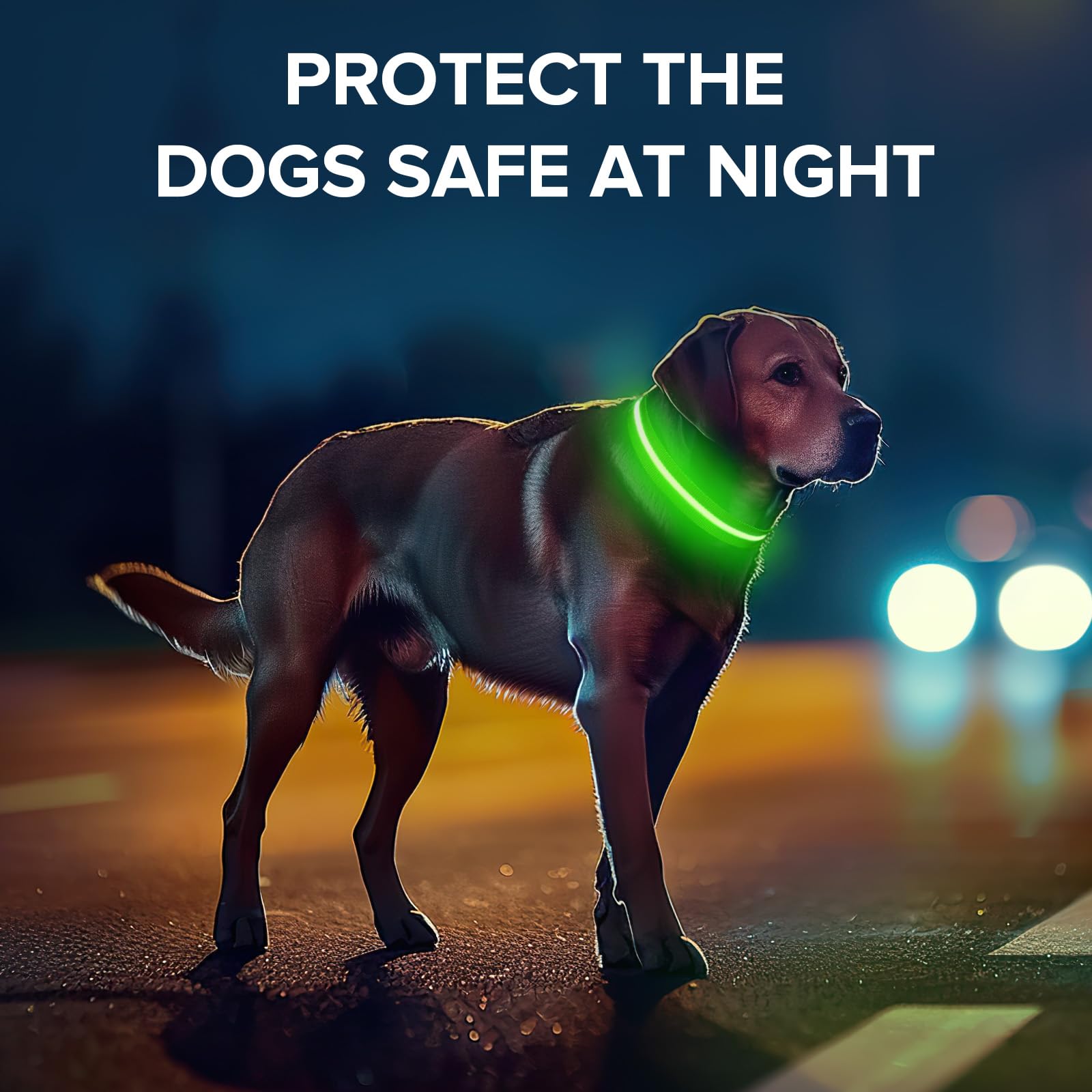 Led Dog Collar For Night Walking,Rechargeable Light Up Dog Collar Led Color,Glow In The Dark Dog Collars Waterproof For Small Me