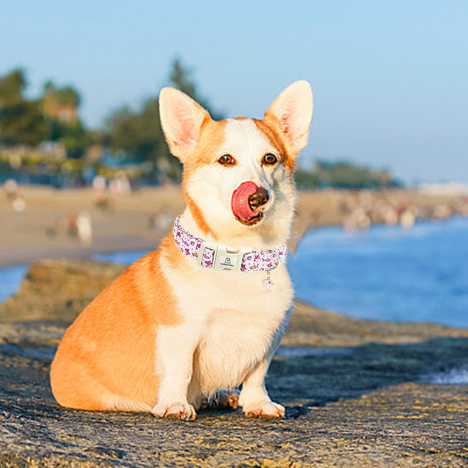 Lionheart Glory Pink Shark Pattern Cute Dog Collar - Adjustable, Durable For Small Dogs