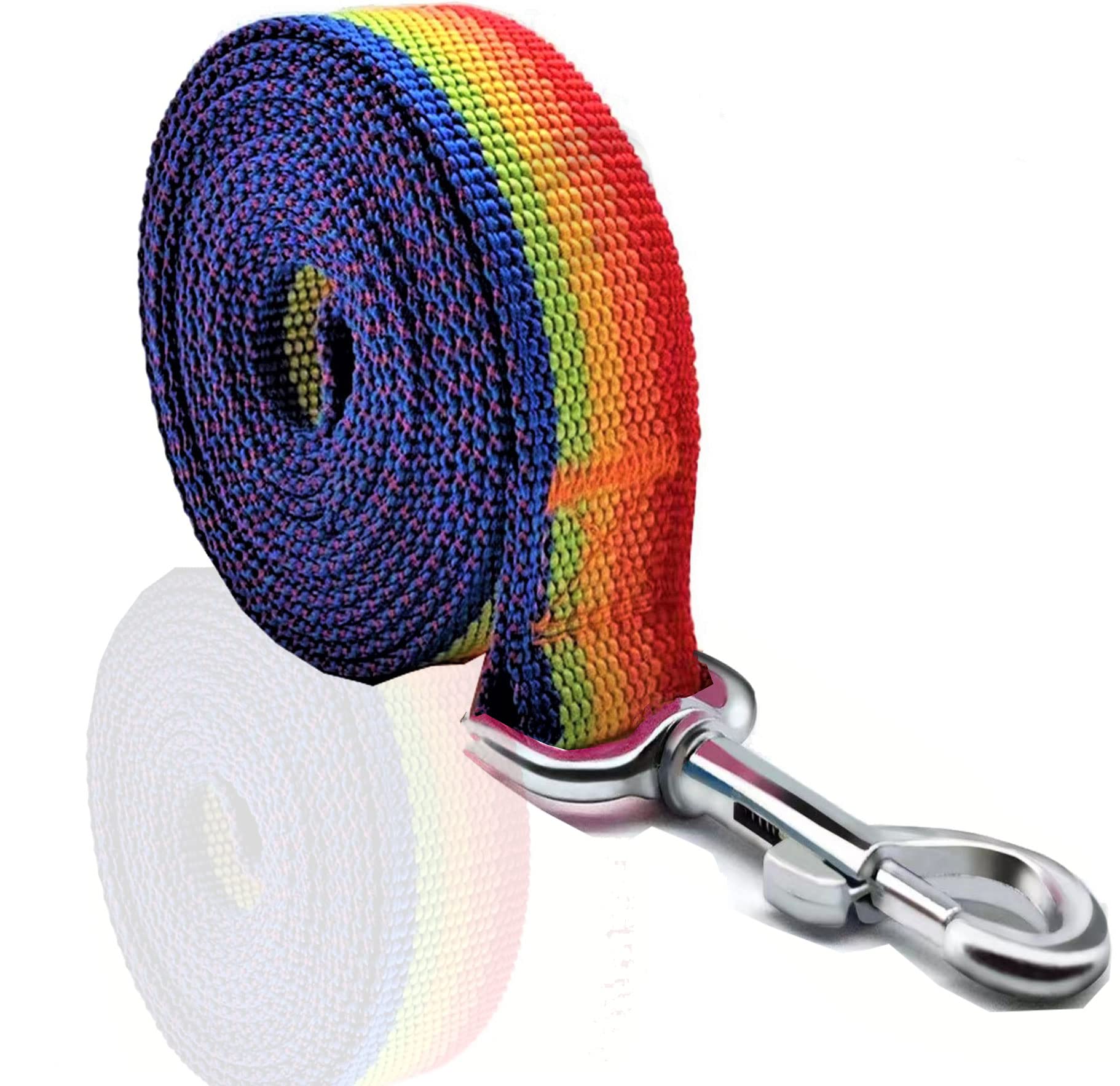 Nylon Dog Leash 4 Ft 5 Feet 6 Foot Long, Walking Training Dog Leashes For Medium Large Dogs, 1 Inch Wide (3/4'' X 6 Ft, Rainbow)