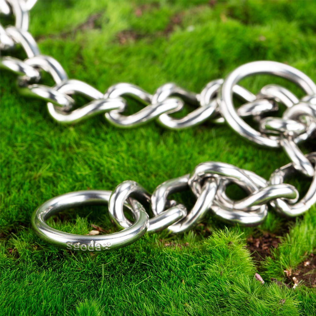 Sgoda Chain Dog Training Choke Collar, 22 In, 3 Mm