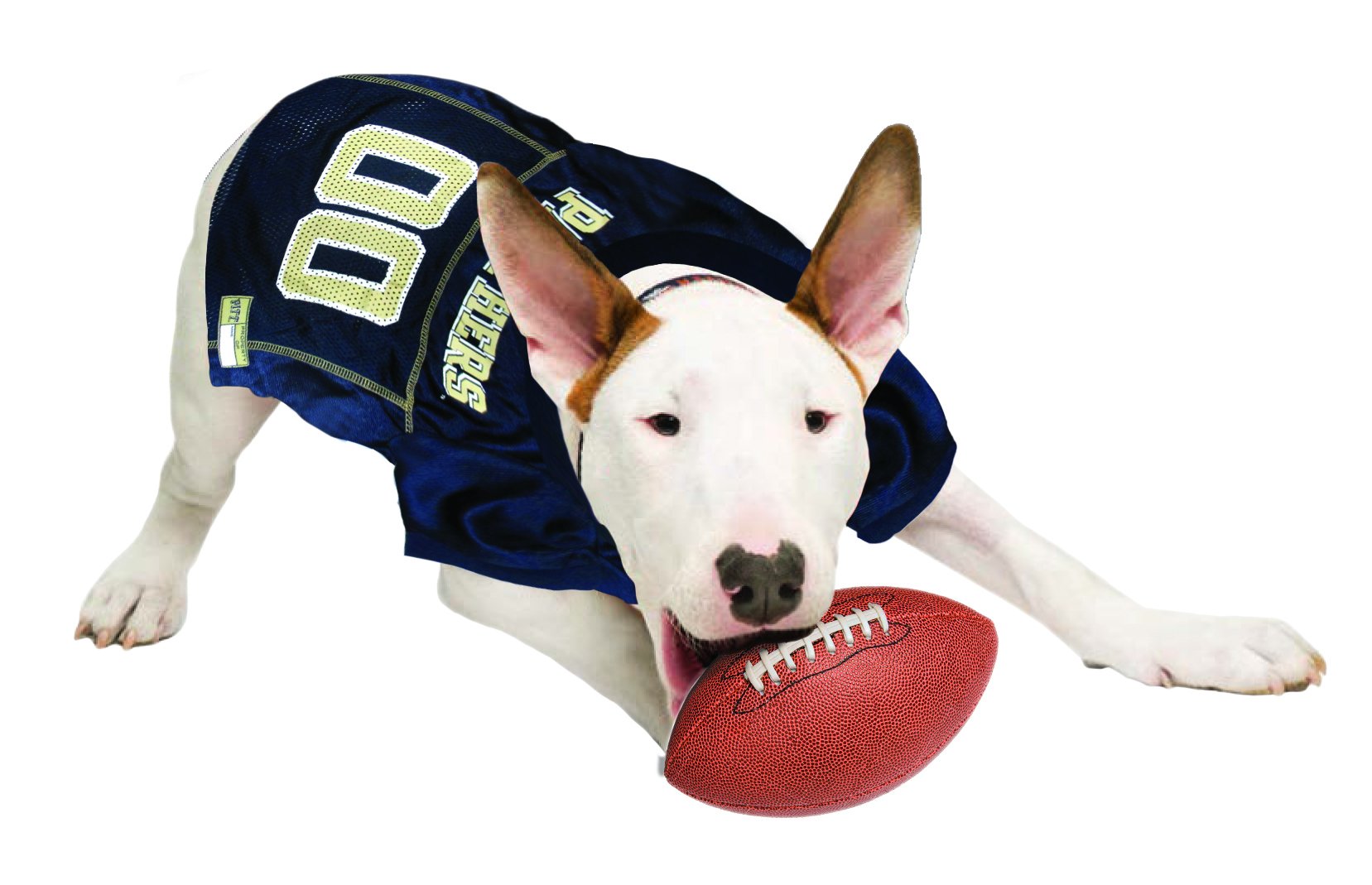Pets First NCAA College Pittsburgh Panthers Mesh Jersey for DOGS & CATS, Small.Licensed Dog Jersey with your Favorite Football/B