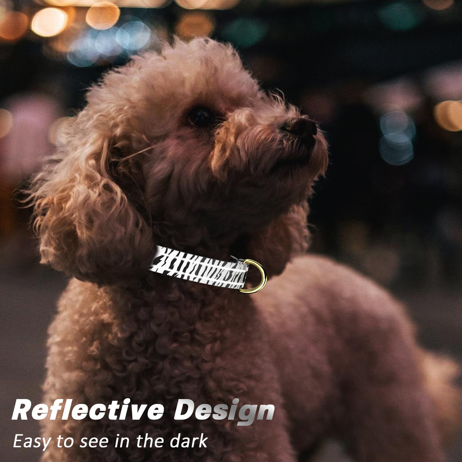 Tmoodel Reflective Dog Collar For Small Dogs Cats, Cute Boho Adjustable Heavy-Duty Nylon Puppy Collar For Boy And Girl Female, S
