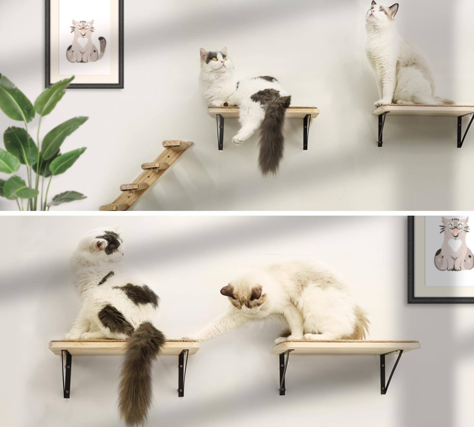 Cat Floating Wall Shelf With Cat Scratching Mat, 1Pc 9.7X16.6 Inch Large 1 Inch Thick Wood Cat Window Perches Hanging Shelves Wall Mounted Beds For Sleeping, Playing, Climbing, Support To 30 Lbs