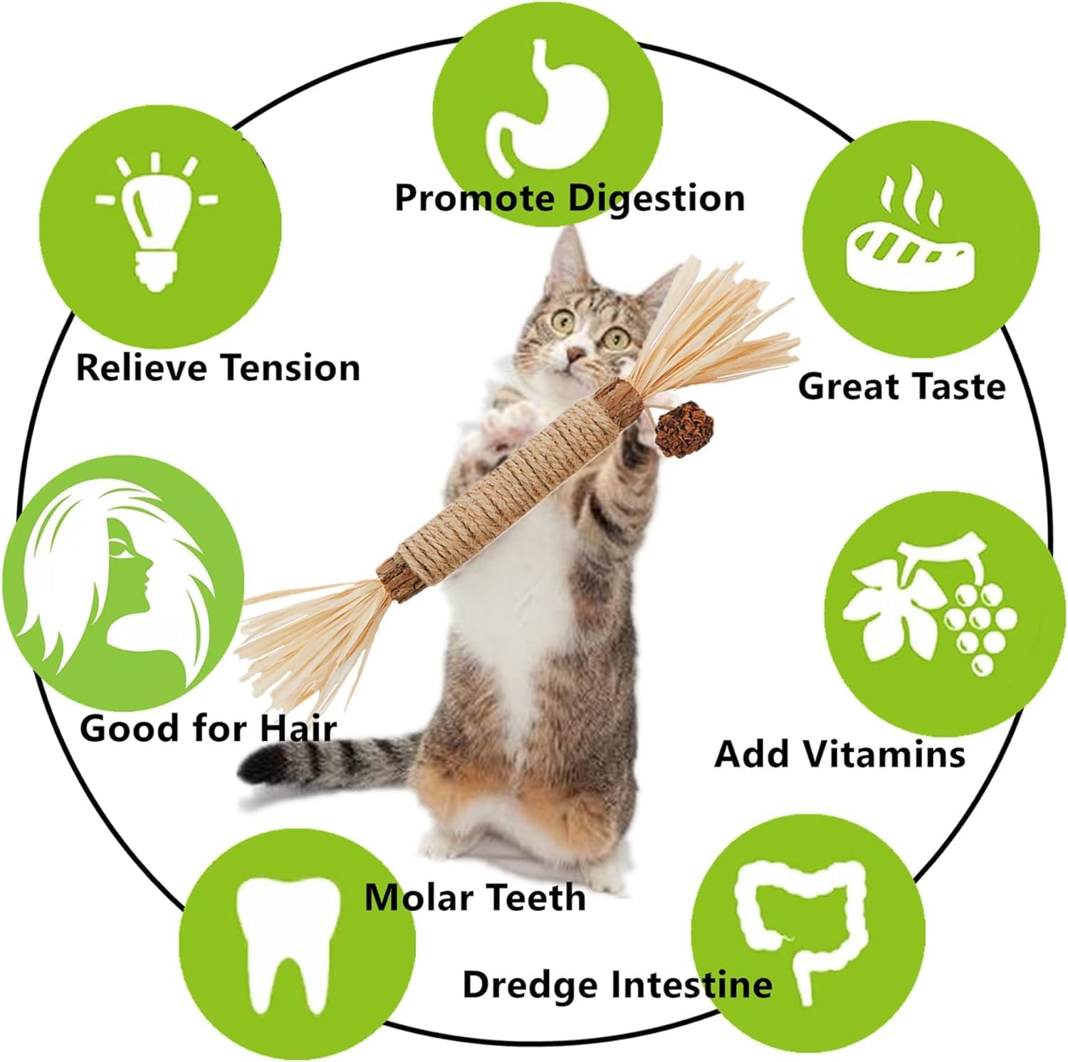 NSWXZDS Cat Toys 12Pack Kitten Silvervine Toy Indoor Catnip Toys Kitty Chew Stick with Feather Kitten Treat for Teeth Cleaning D
