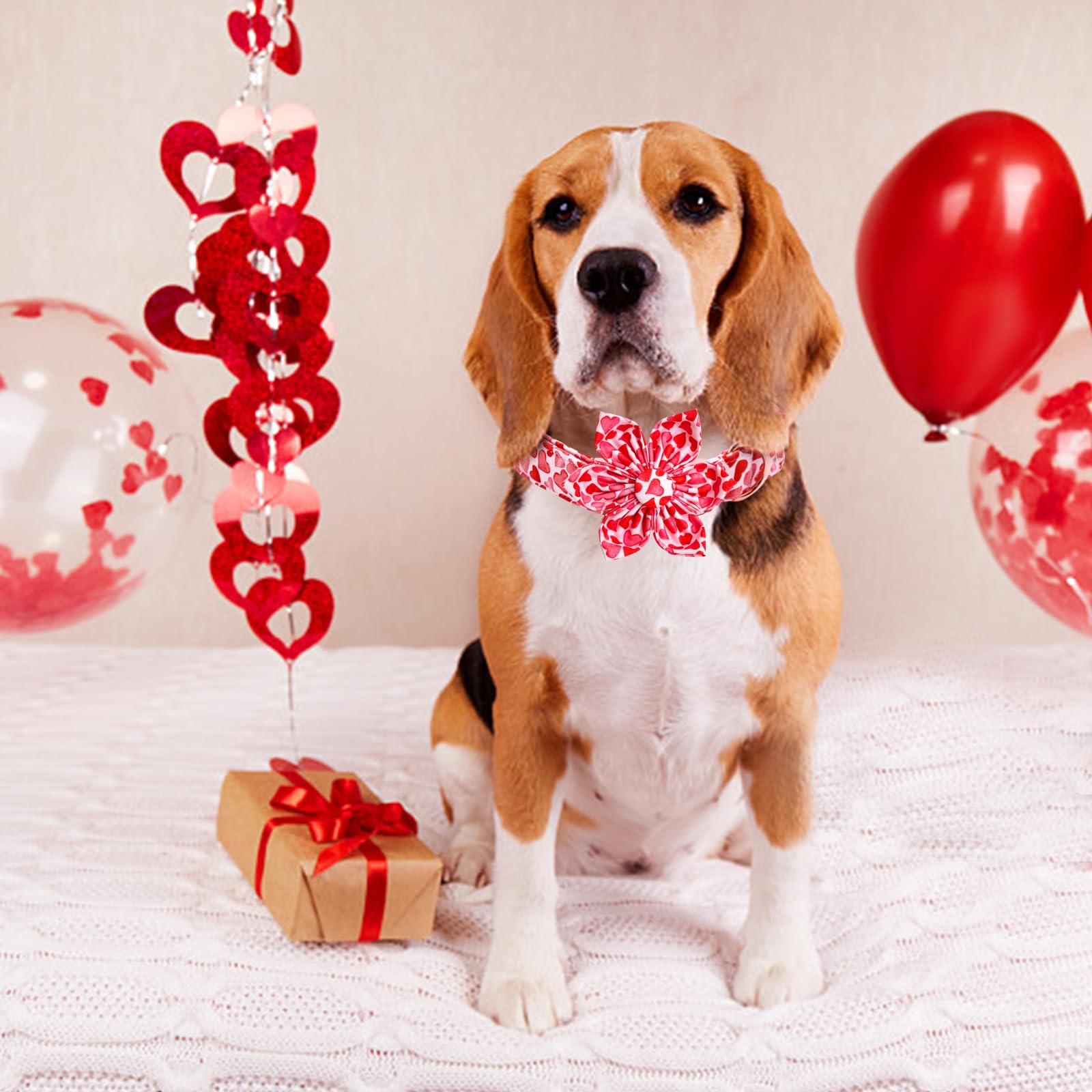 Lionheart Glory Valentine'S Day Dog Collar With Flower For Medium Dogs, Hearts Bowtie Spring Pet Collar Bows