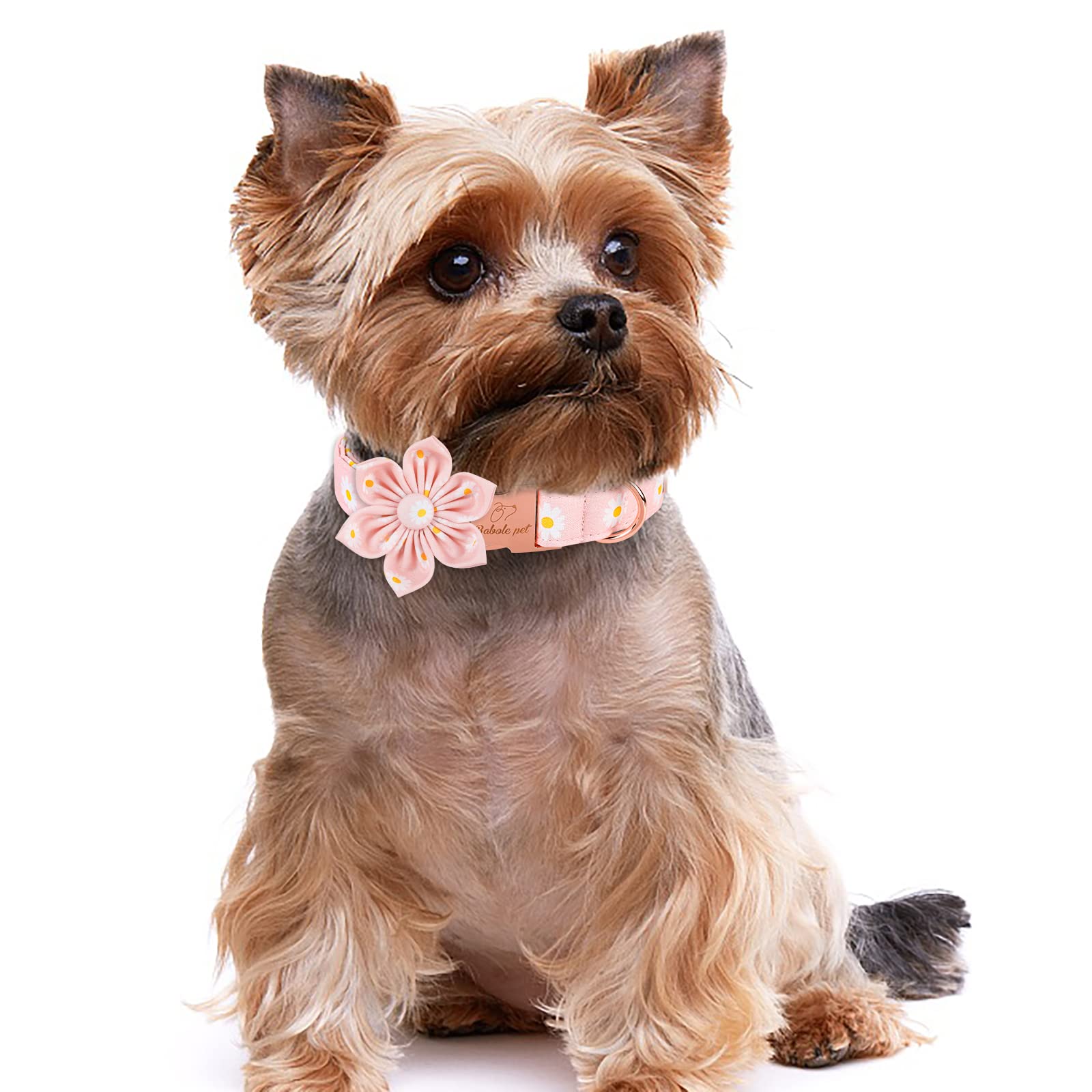 Babole Pet Dog Collar With Pink Daisy Flower Tie,Cotton Dog Collar With Safety Metal Buckle Adjustable Puppy Collars For Small Medium Large Boy&Girl Dog,X-Large,Neck 16'-26'