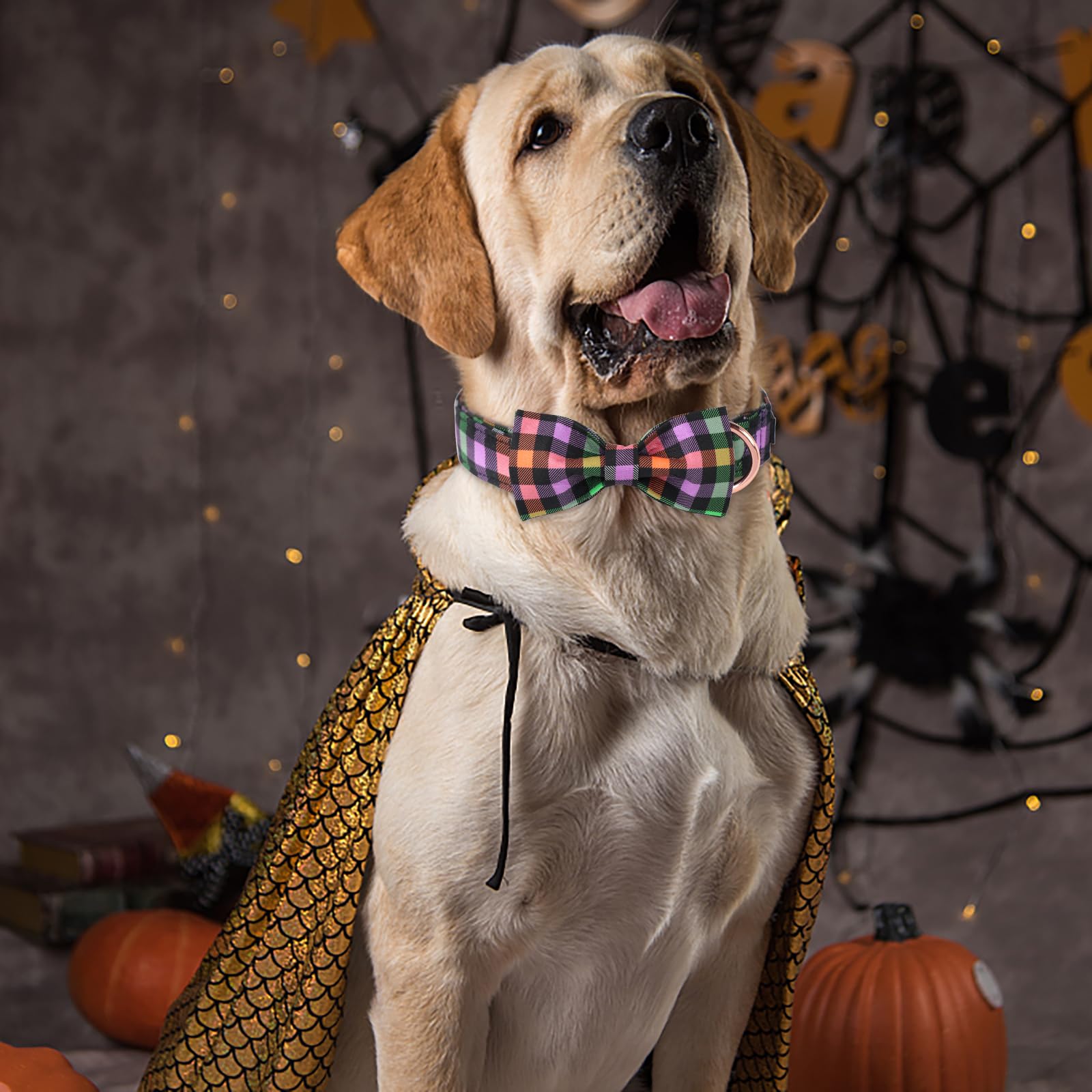 Aring Pet Halloween Dog Collar, Cute Cotton Fall Dog Collar With Bow, Adjustable Halloween Plaid Pet Collars With Metal Buckle