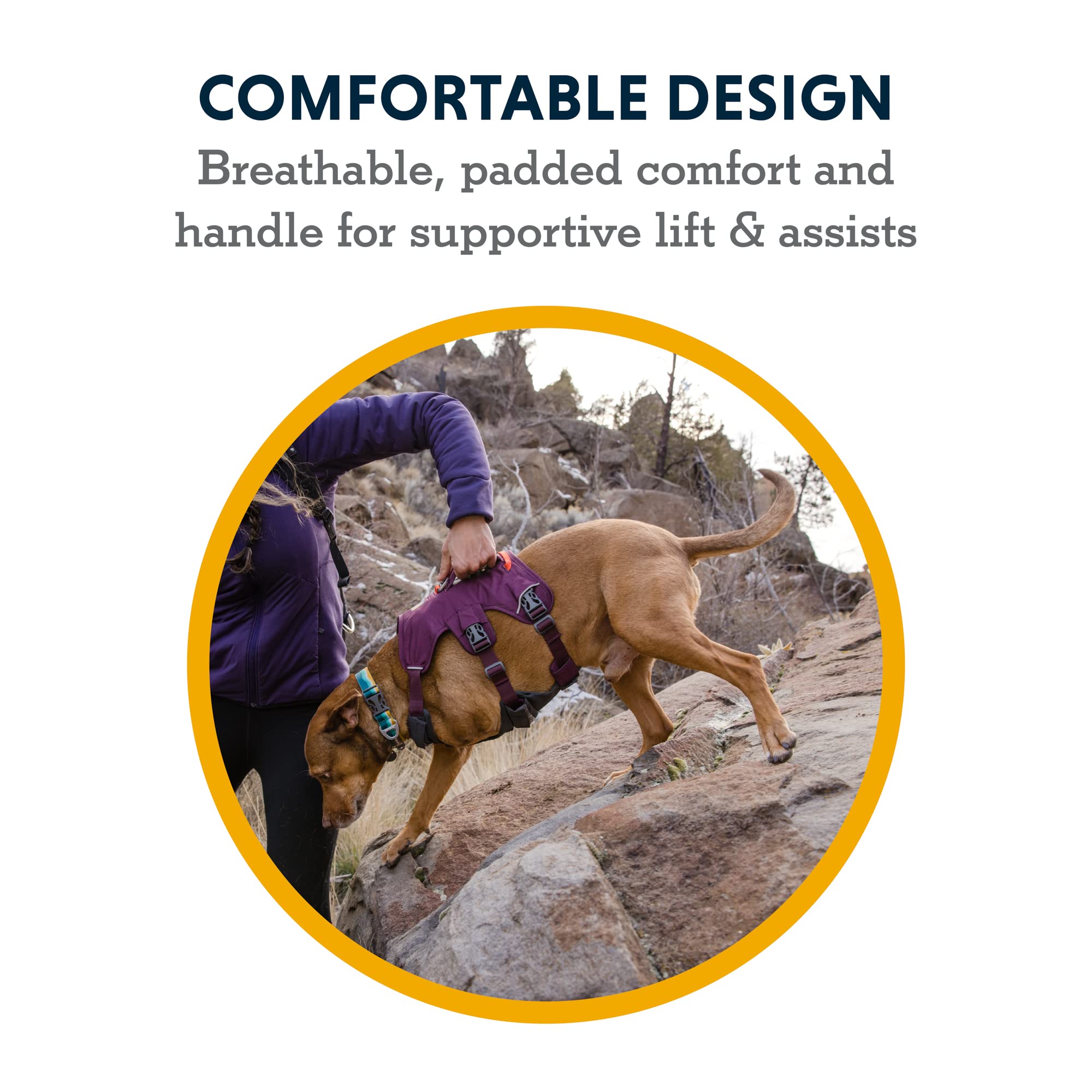 Ruffwear, Web Master, Multi-Use Support Dog Harness, Hiking And Trail Running, Service And Working, Everyday Wear, Blaze Orange, Small