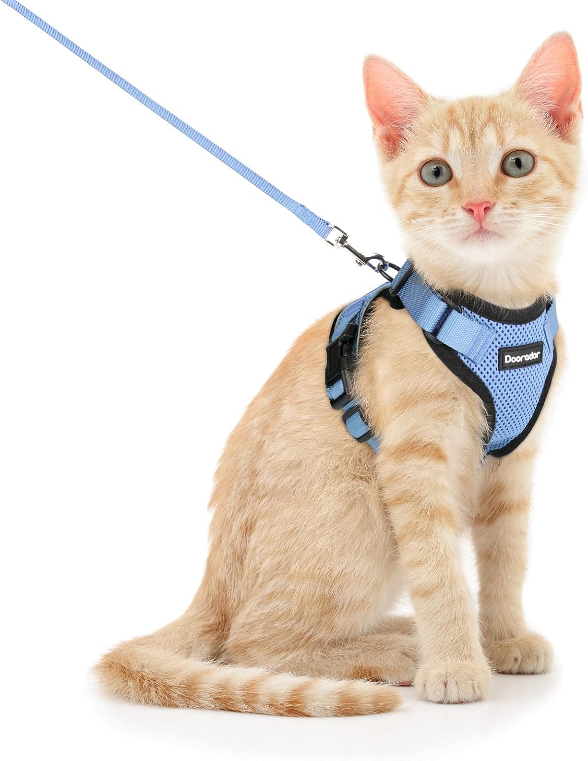 Dooradar Cat Harness And Leash Set, Escape Proof Safe Adjustable Kitten Vest Harnesses For Walking, Easy Control Soft Breathable Mesh Jacket With Reflective Strips For Cats, Light Blue, S