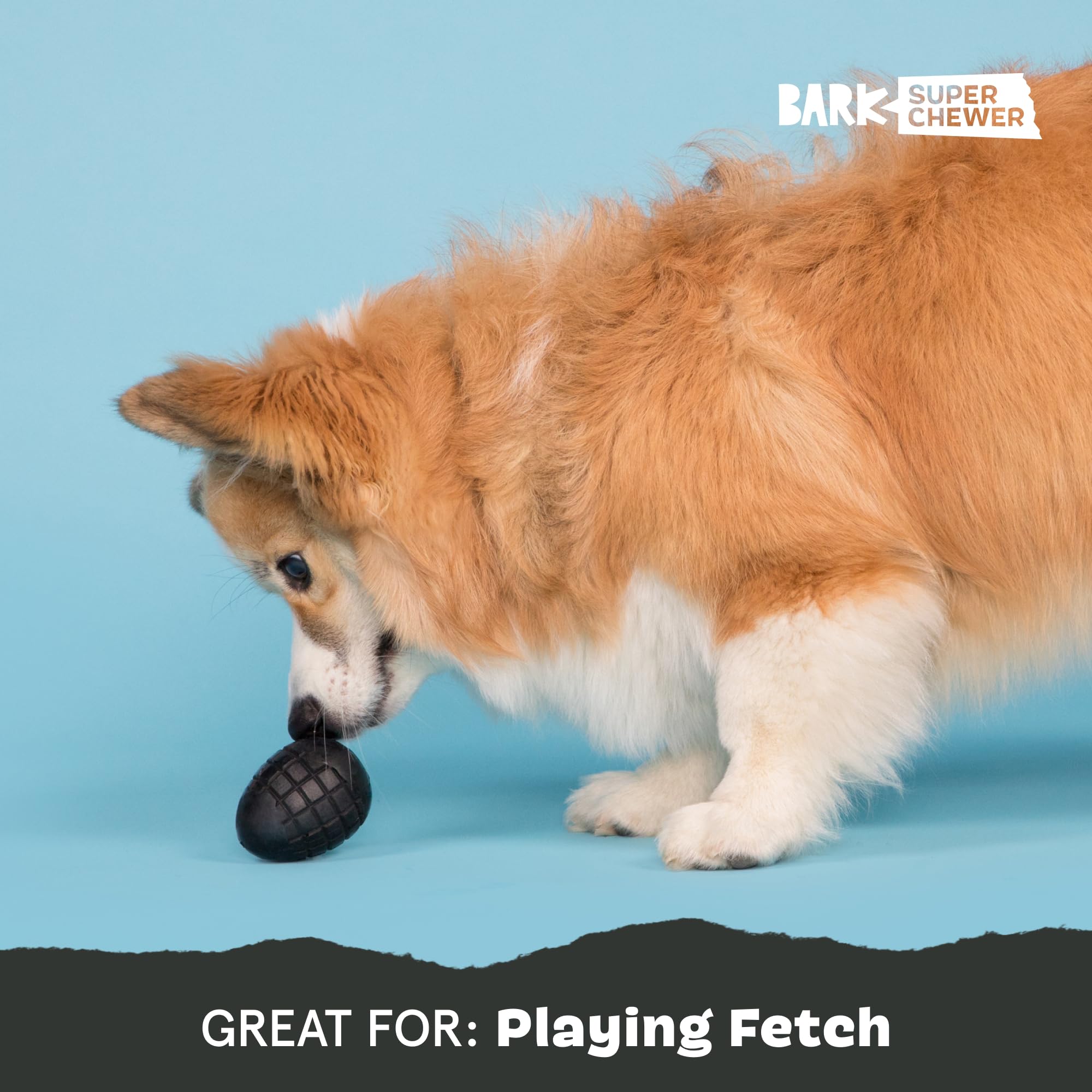 Barkbox Tough Dog Toys for Aggressive Chewers - Durable Rubber & Nylon, Small Size, Origin Color