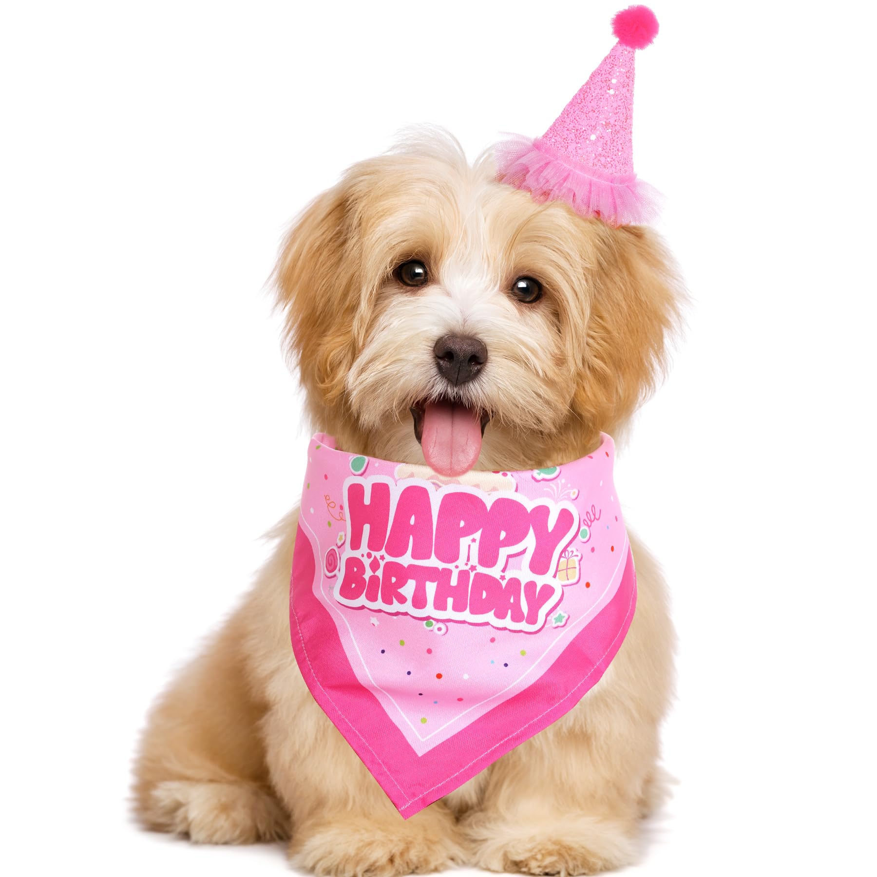Pistha Dog Birthday Party Set - Bandana Scarf & Hat With Number For Dog Birthday Party (Pink)