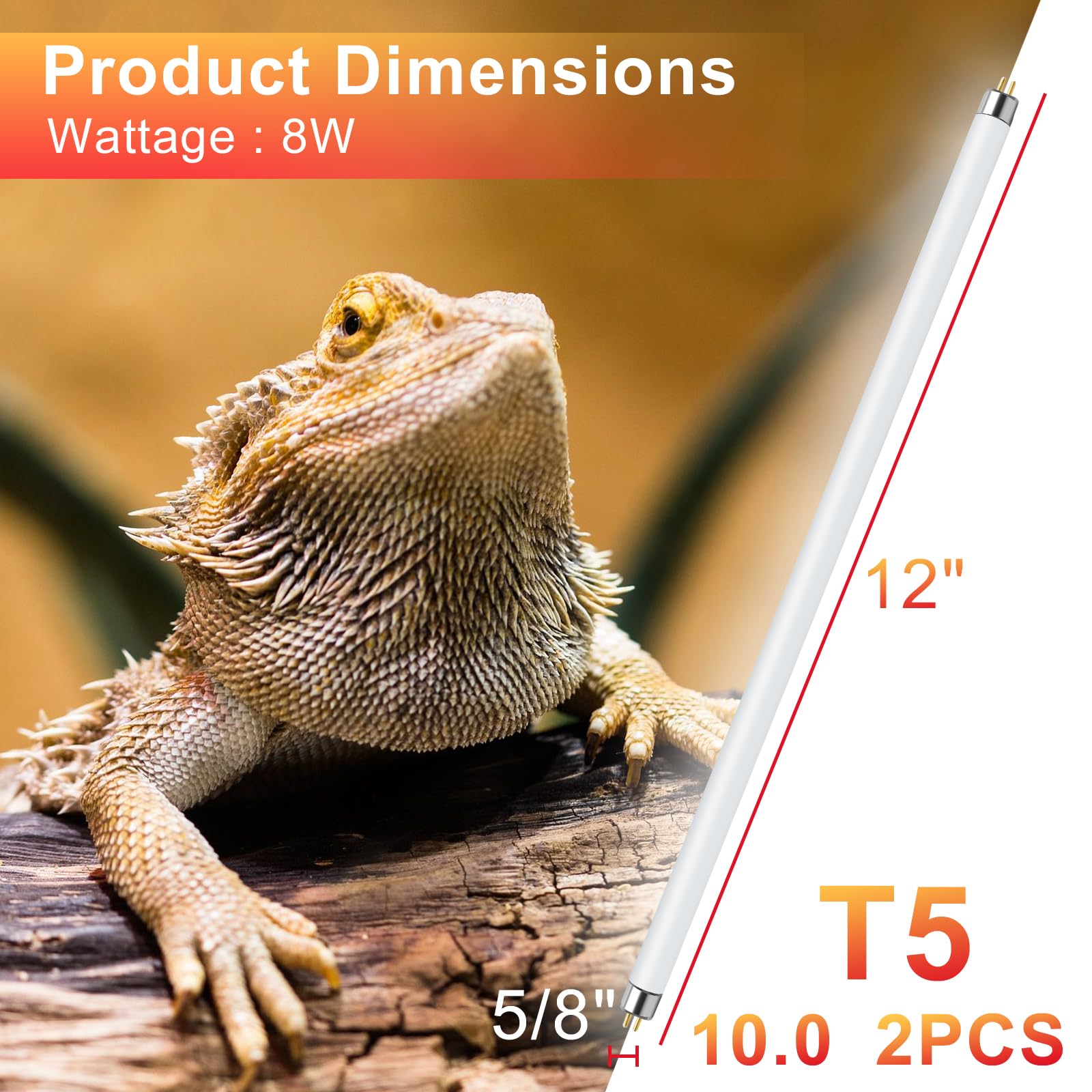 LUCKY HERP T5 UVB 10.0 Reptile Light 2 Pack, 8W Fluorescent Lamp Tube for Turtles, Chameleon, Lizard - 12