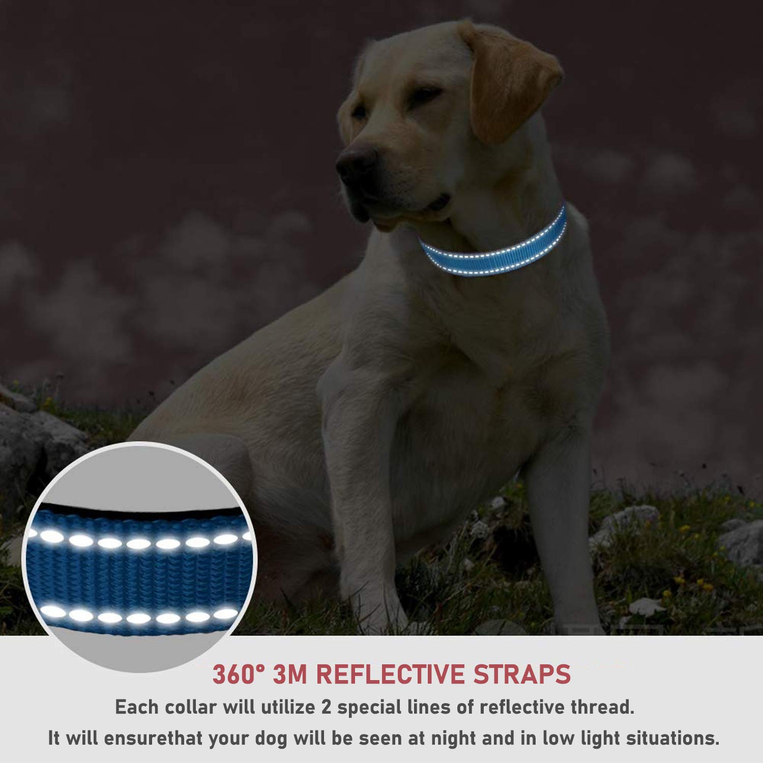 Reflective Dog Collar With Buckle Adjustable Safety Nylon Collars For Small Medium Large Dogs, Blue L