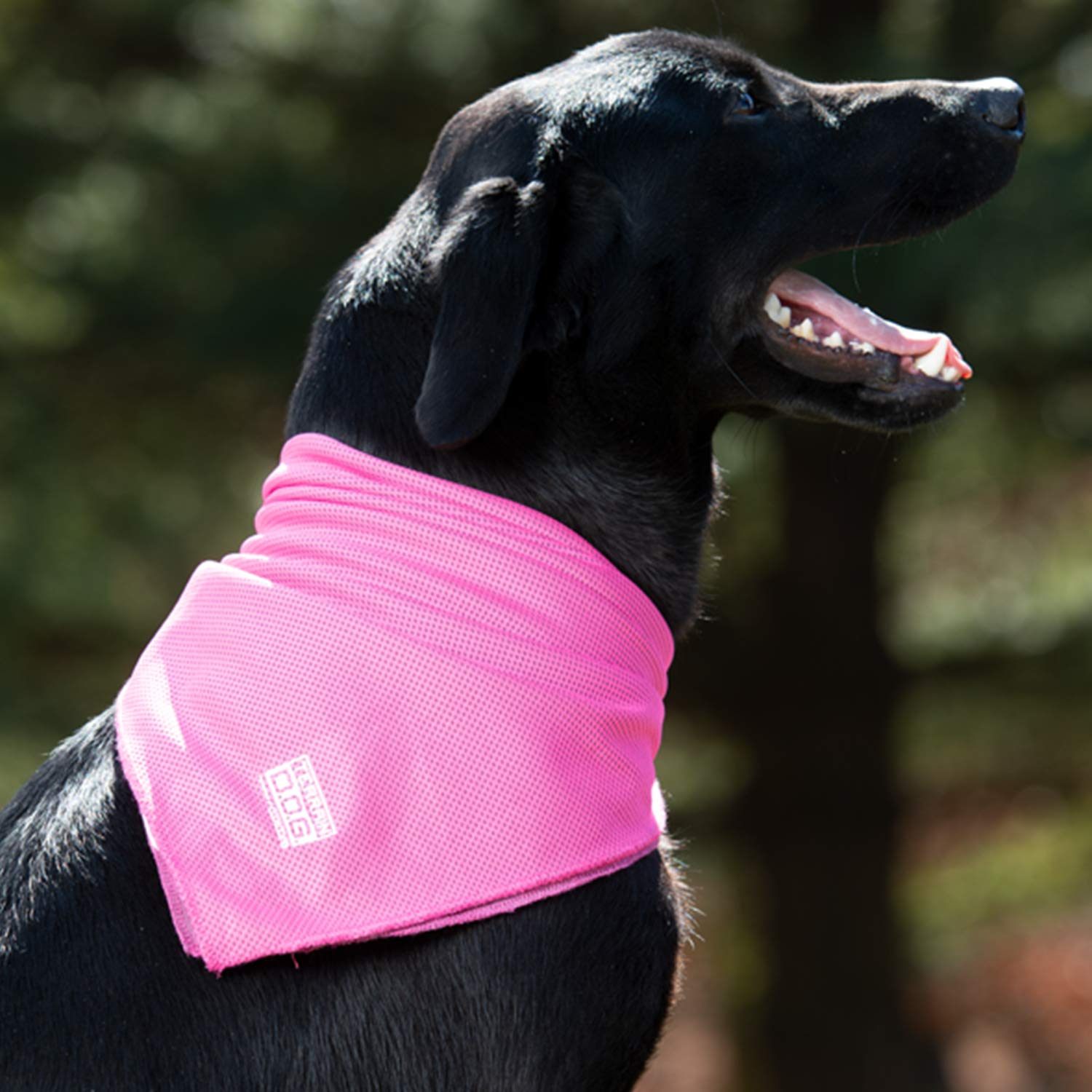 Terrain Dog Cooling Bandana - Cooling Fabric Powered By Coolcore Technology