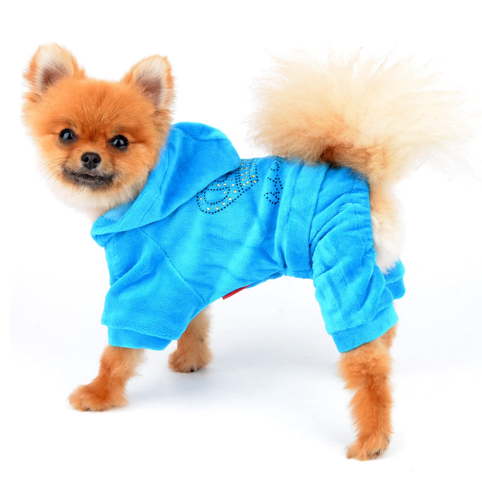 Smalllee_Lucky_Store Pet Clothes For Small Dog Cat Soft Velvet Crown Jumpsuit Coat Hooide Pajamas Tracksuit Blue Xl