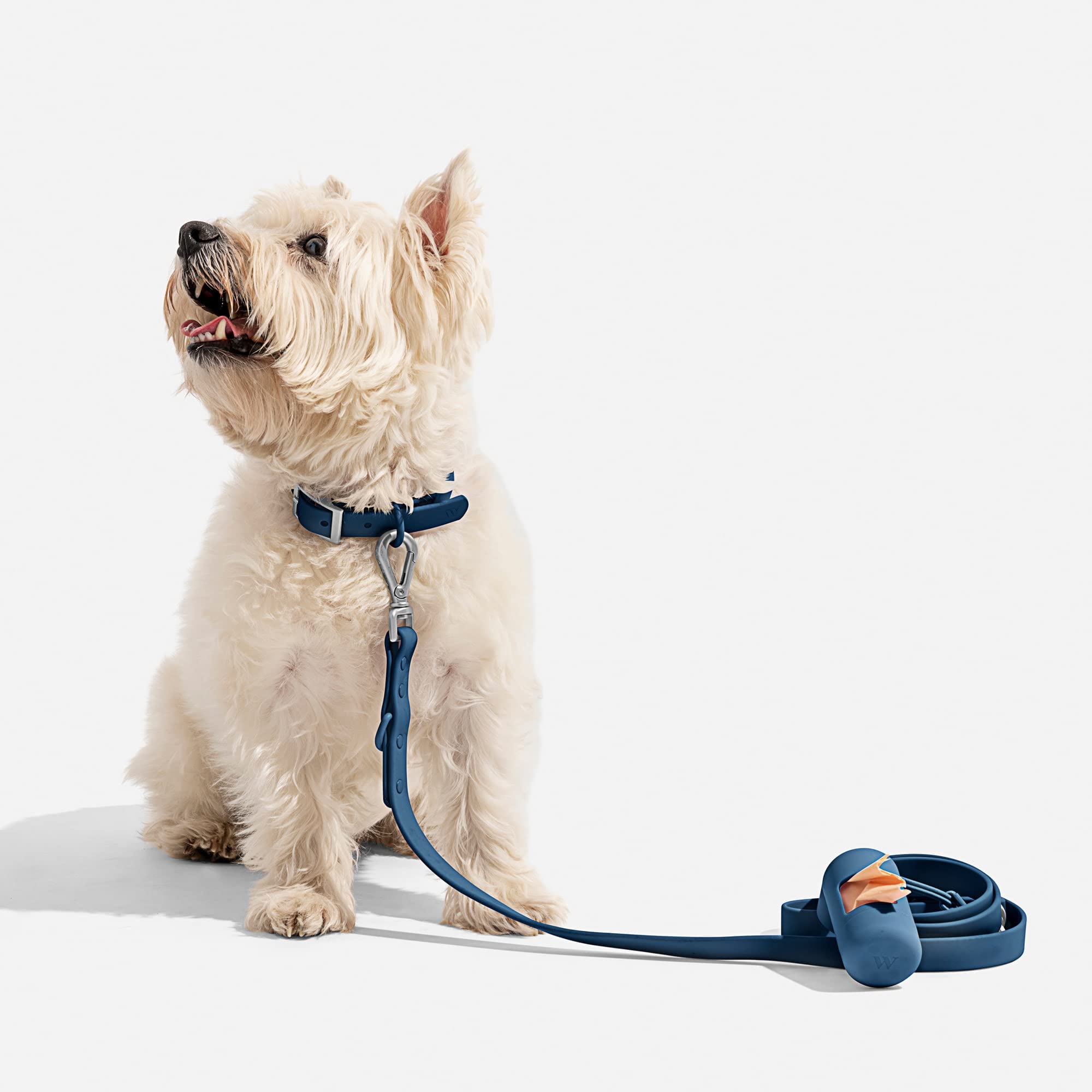 Wild One Collar - Small - Blue
