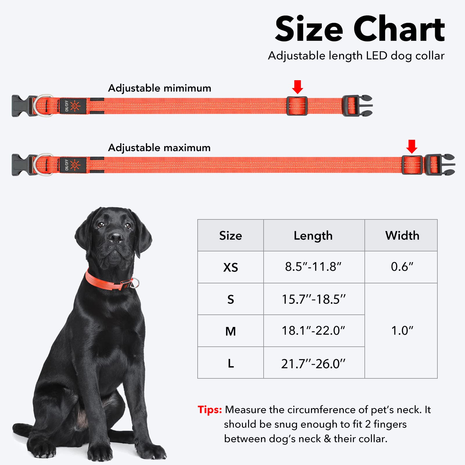 Illumifun Led Dog Collar, Usb Rechargeable Led Collar For Dogs Glow In The Dark, Reflective Light-Up Collar Make Your Dogs Safe& Seen At Night (Orangeⅲ, Small)