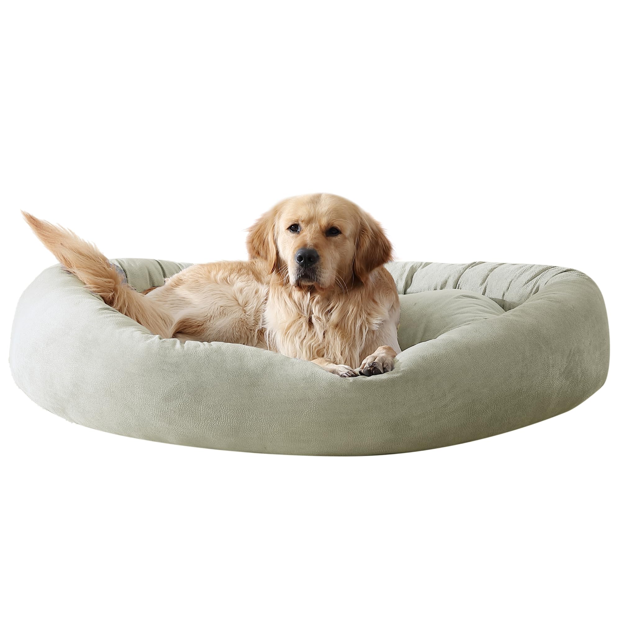 Arlee Orbit Orthopedic Memory Foam Dog Bed - Premium, Durable, Washable, And Easy To Clean Fabric, Pet Bed For Large And Extra L