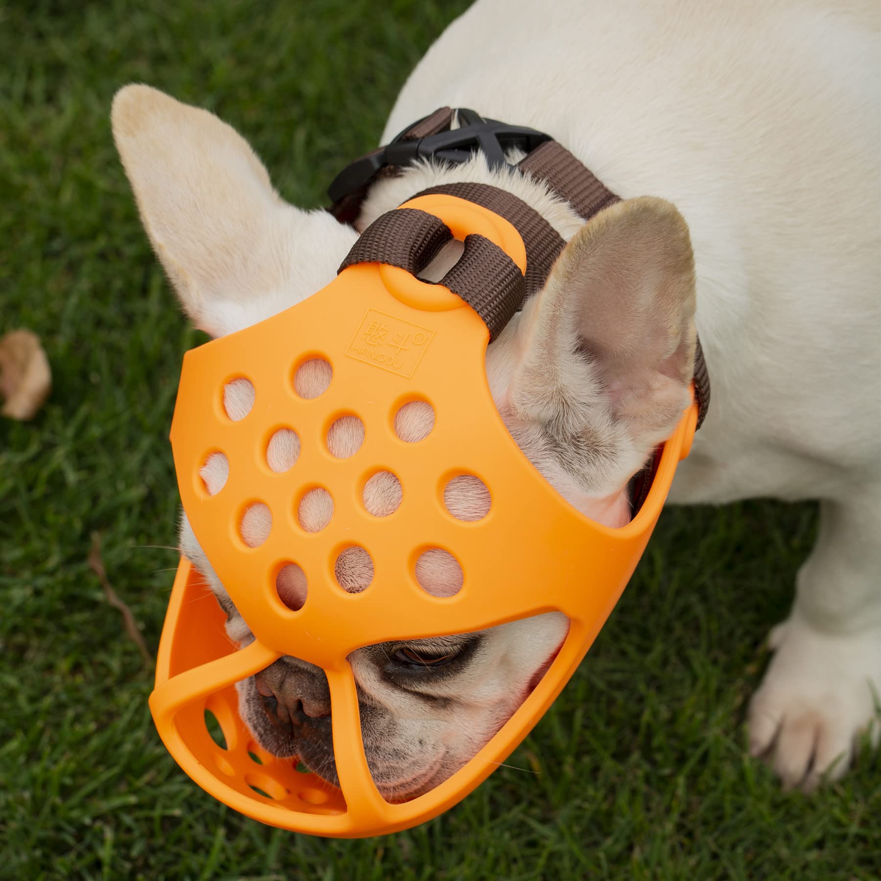 Jyhy Short Snout Dog Muzzles,Soft Silicone Adjustable Breathable Bulldog Muzzle For Biting Chewing Barking Training,Ideal For Flat-Faced Dogs (M, Orange)