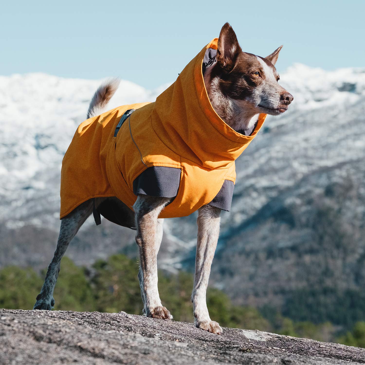 Hurtta Expedition Parka, Winter Dog Coat, Buckthorn, 22 In