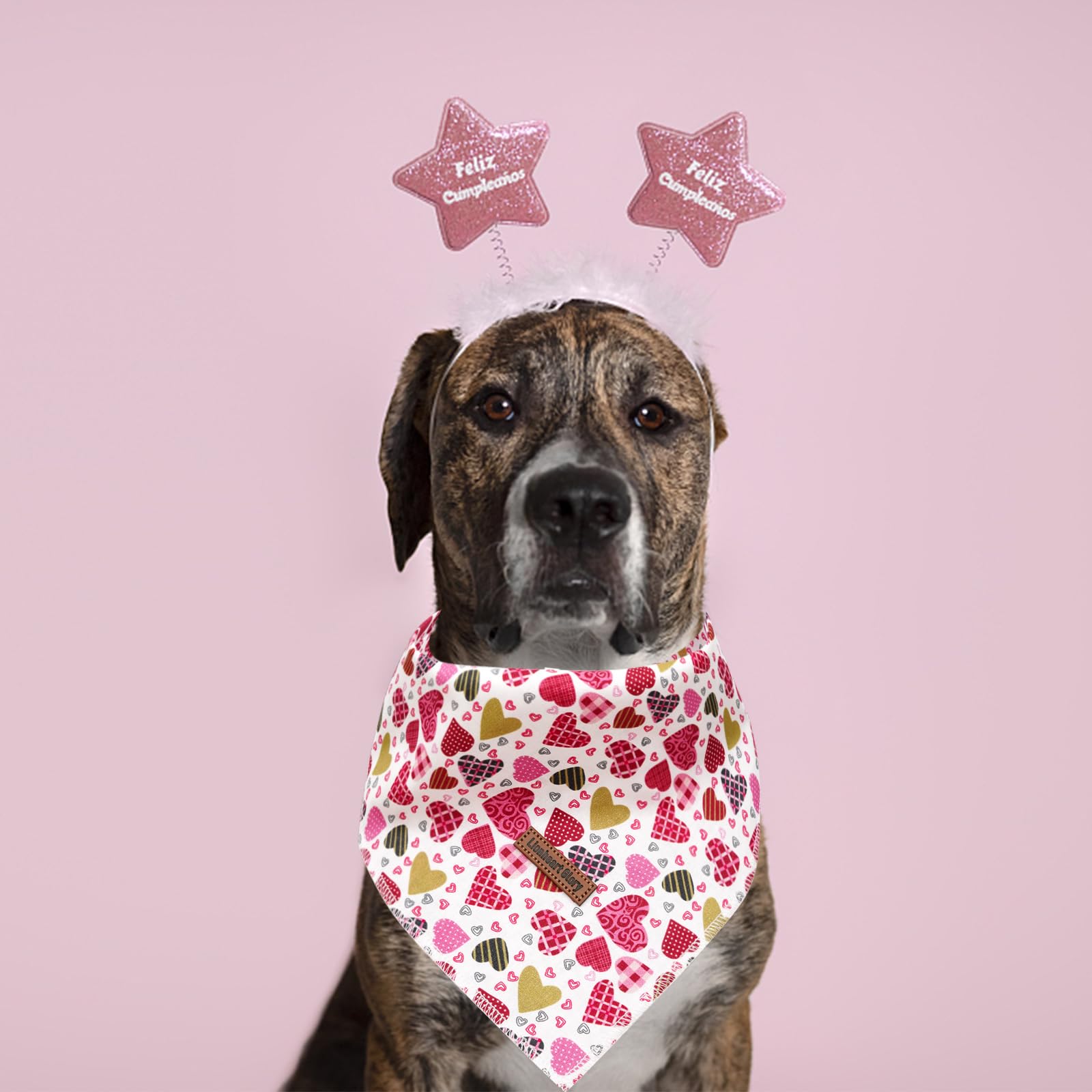 Lionheart Glory Valentine Dog Bandana - Soft Washable Square Adjustable Dog Scarf, One Size Fits Medium To Large Dogs