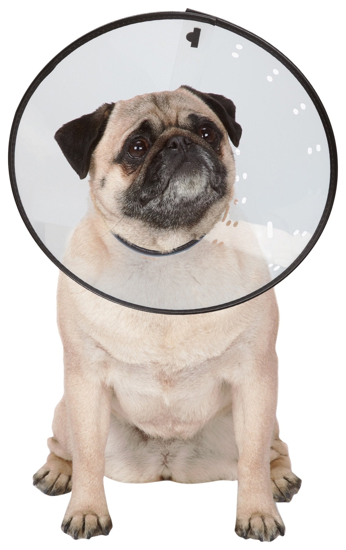 Total Pet Health Elizabethan Collars — Durable Plastic Collars That Keep Pets From Licking Wounded Areas - Large, Clear