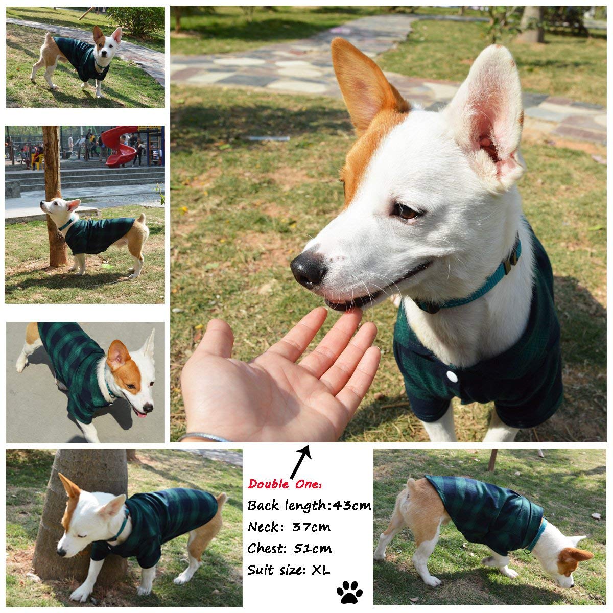 Koneseve Dog Shirt, Pet Plaid Clothes Shirt T-Shirt, Sweater Bottoming Shirt For Small Dog Cat Puppy Grid Adorable Wearing Stylish Cozy Halloween,Christmas Costumes {Green;L/Large}