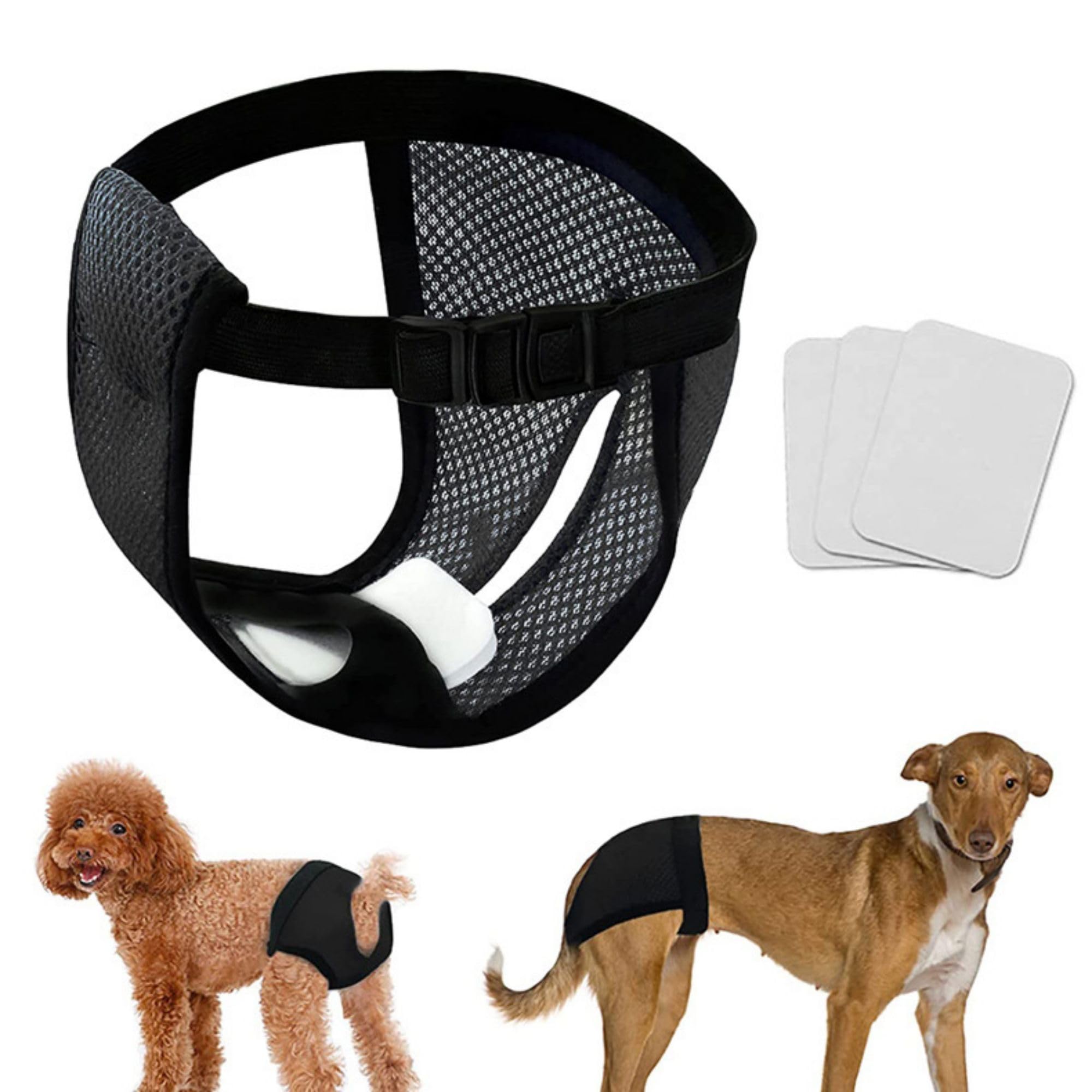 Ddfs Female Dog Heat Cycle With 3 Replace Diaper,Dog Pants In Heat Reusable Diapers Adjustable Protective Pants For Dogs Black S