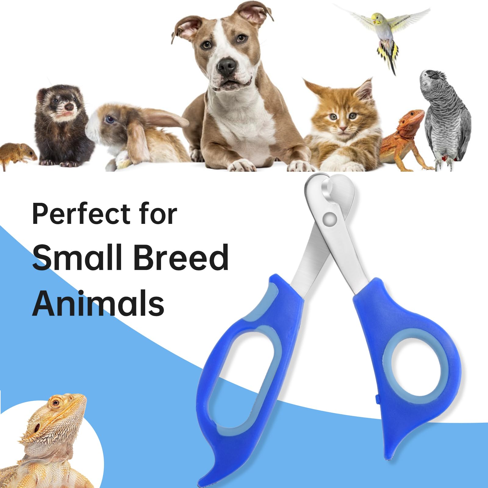 Keuye Bearded Dragon Nail Clippers,Stainless Steel Bearded Dragon Toe Nail Clippers With Precise Angled Edges,Professional Groom