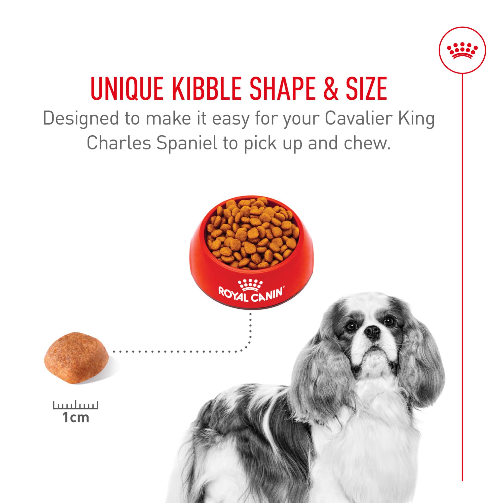 Royal Canin Cavalier King Charles Spaniel Adult Breed Specific Dry Dog Food, 10 lb bag